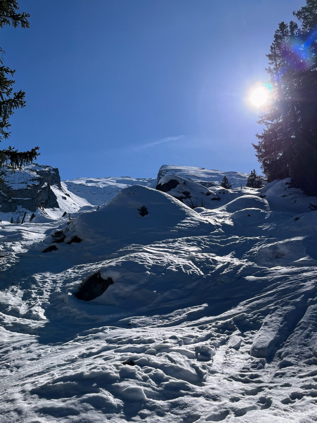 schneeschuhwanderung-brisenhaus-_IMG_0212