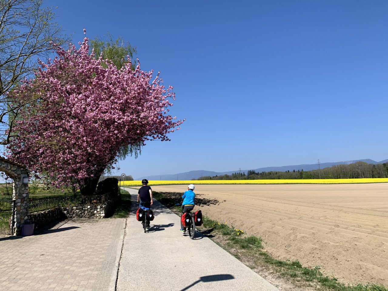 velotour_mittellandroute_avenches_yverdon__IMG_7685