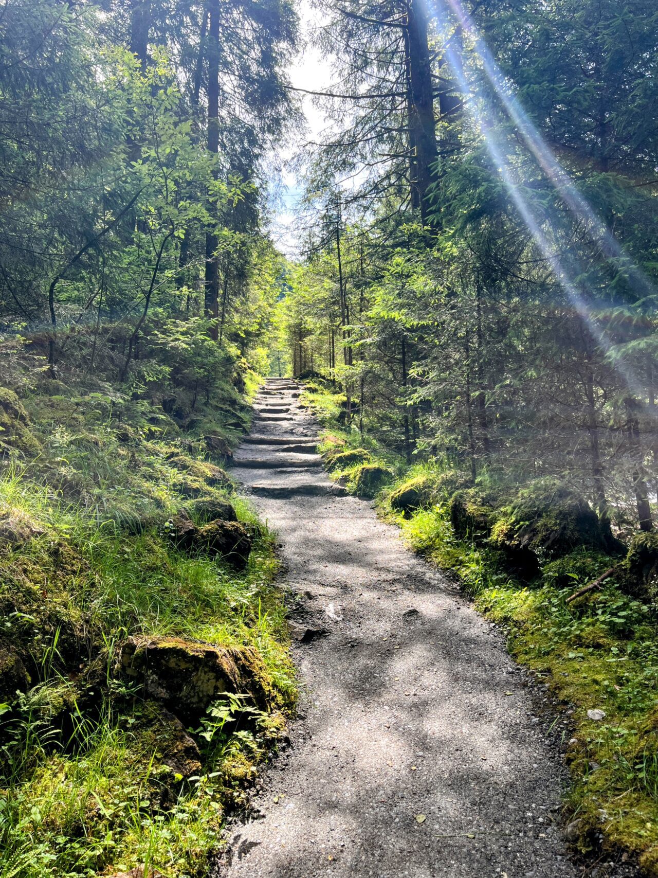 wanderung_grafenort_engelberg_durch_die_aaschlucht_