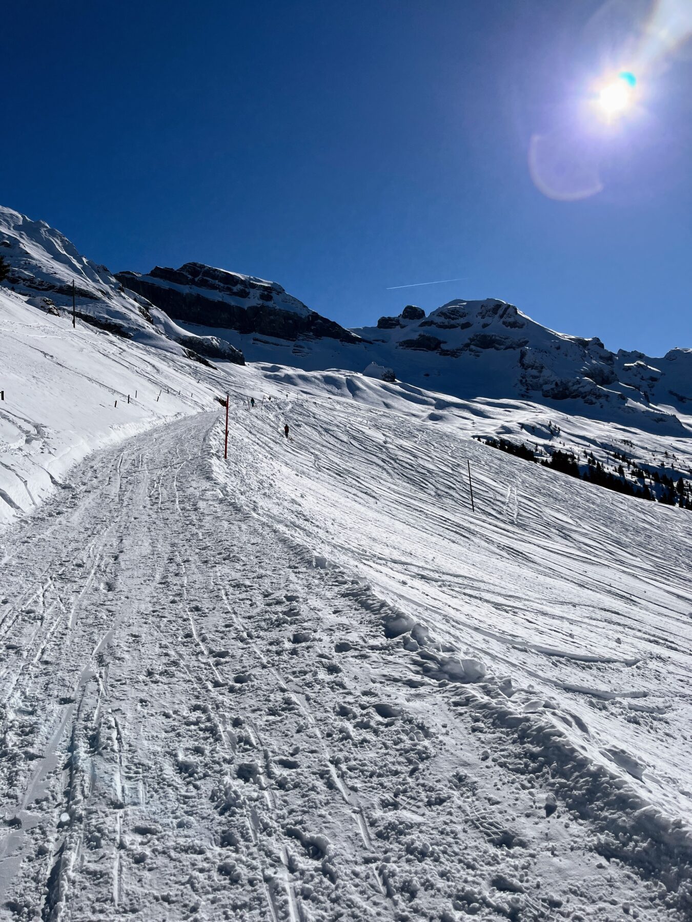 wanderung_druesberghütte__IMG_1324