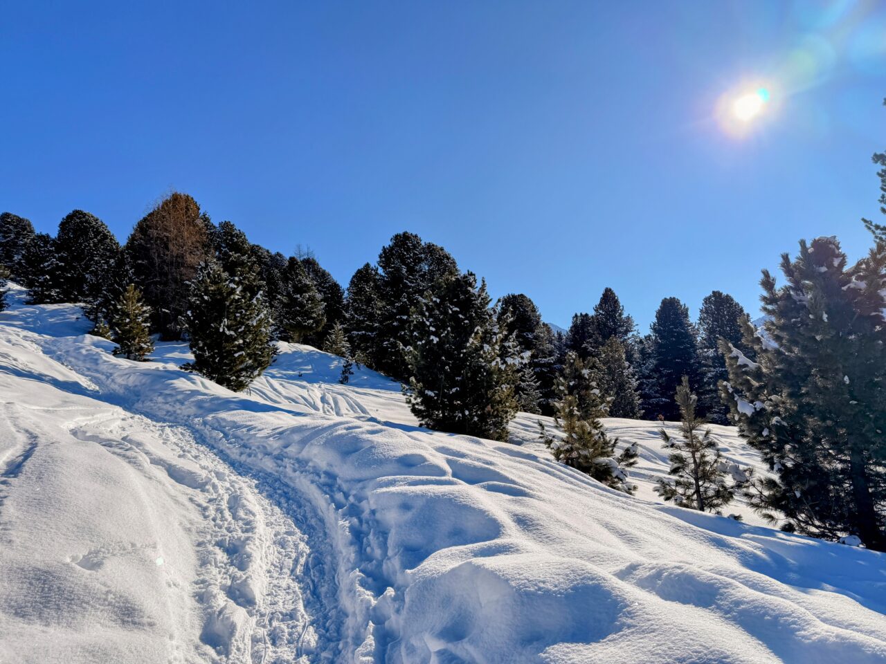 schneeschuhtour_pischa__IMG_9467