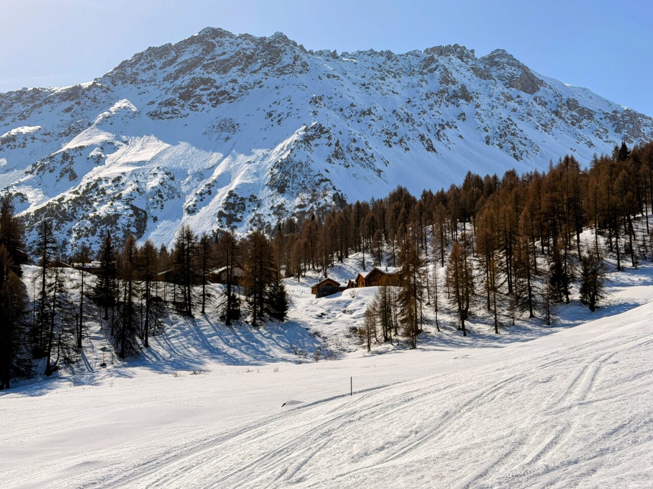 schneeschuhsafari_graubuenden_salouf_munter__IMG_0665