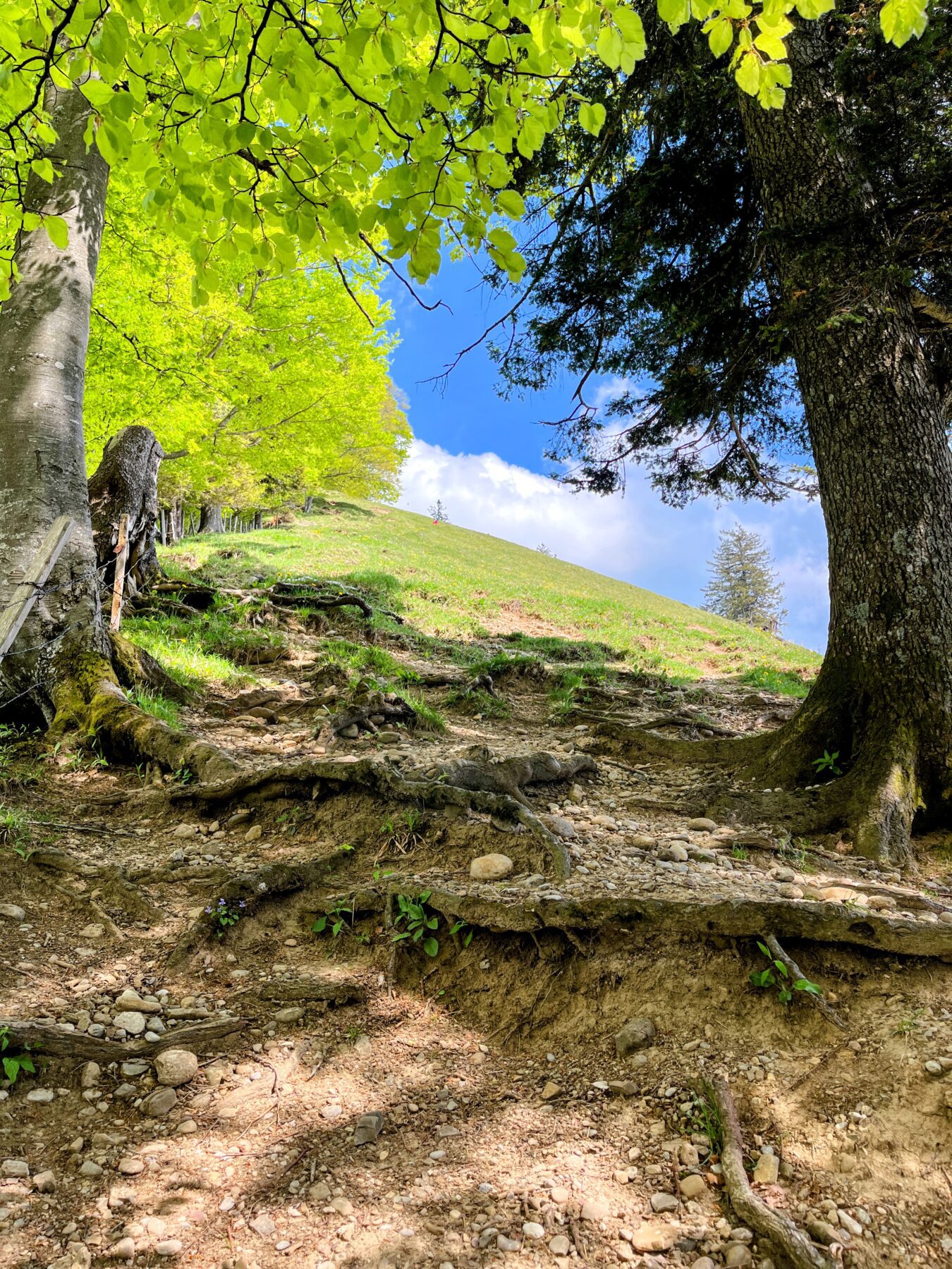 wanderung_schnebelhorn_