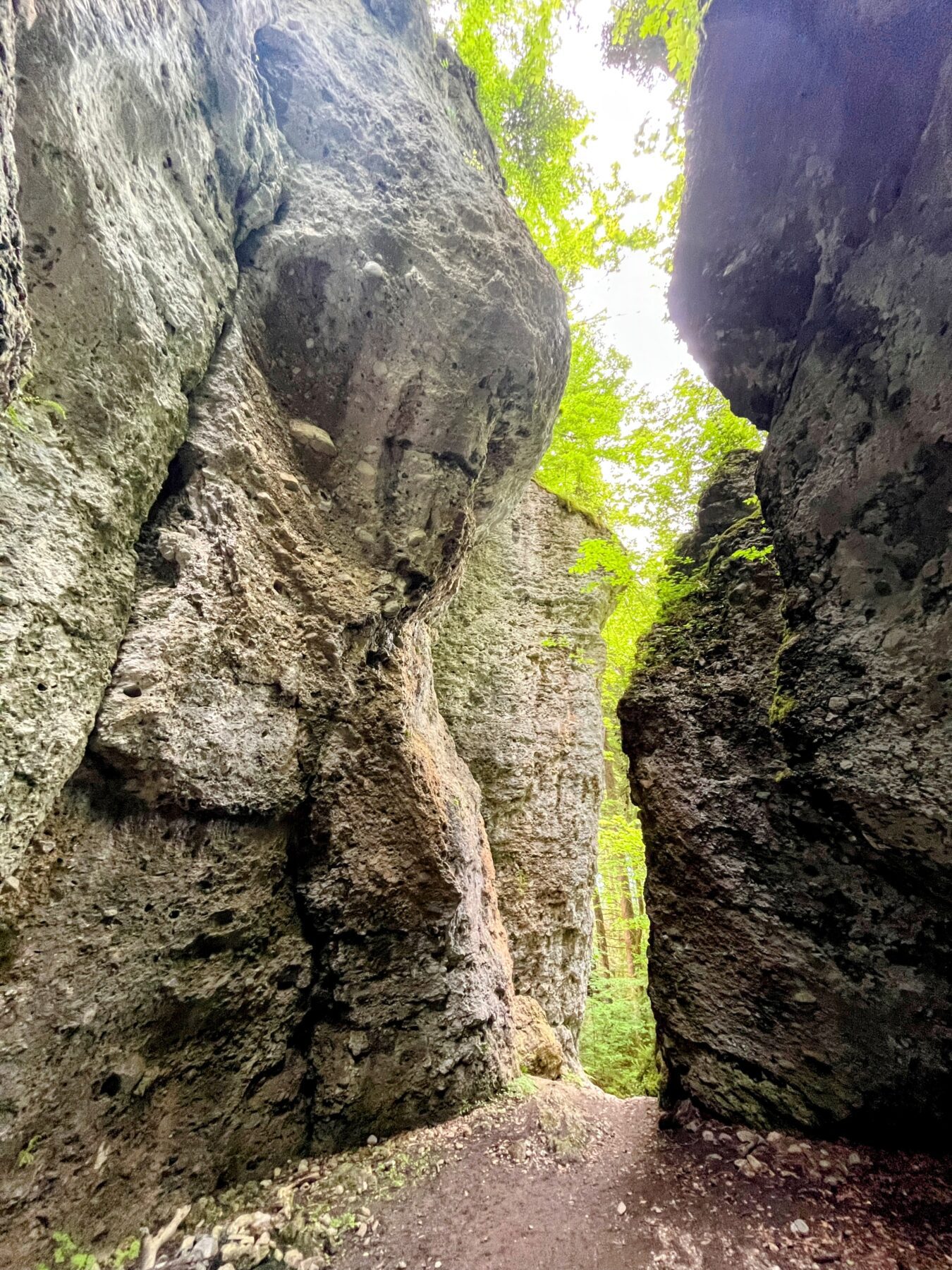 wanderung_bürser_schlucht_