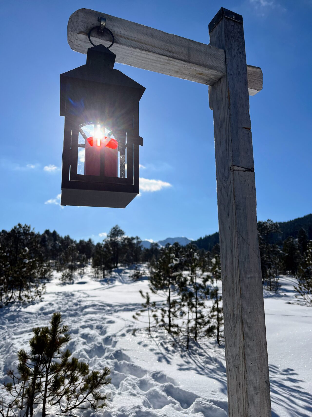 schneeschuhwandern-jaenzi-_IMG_9607