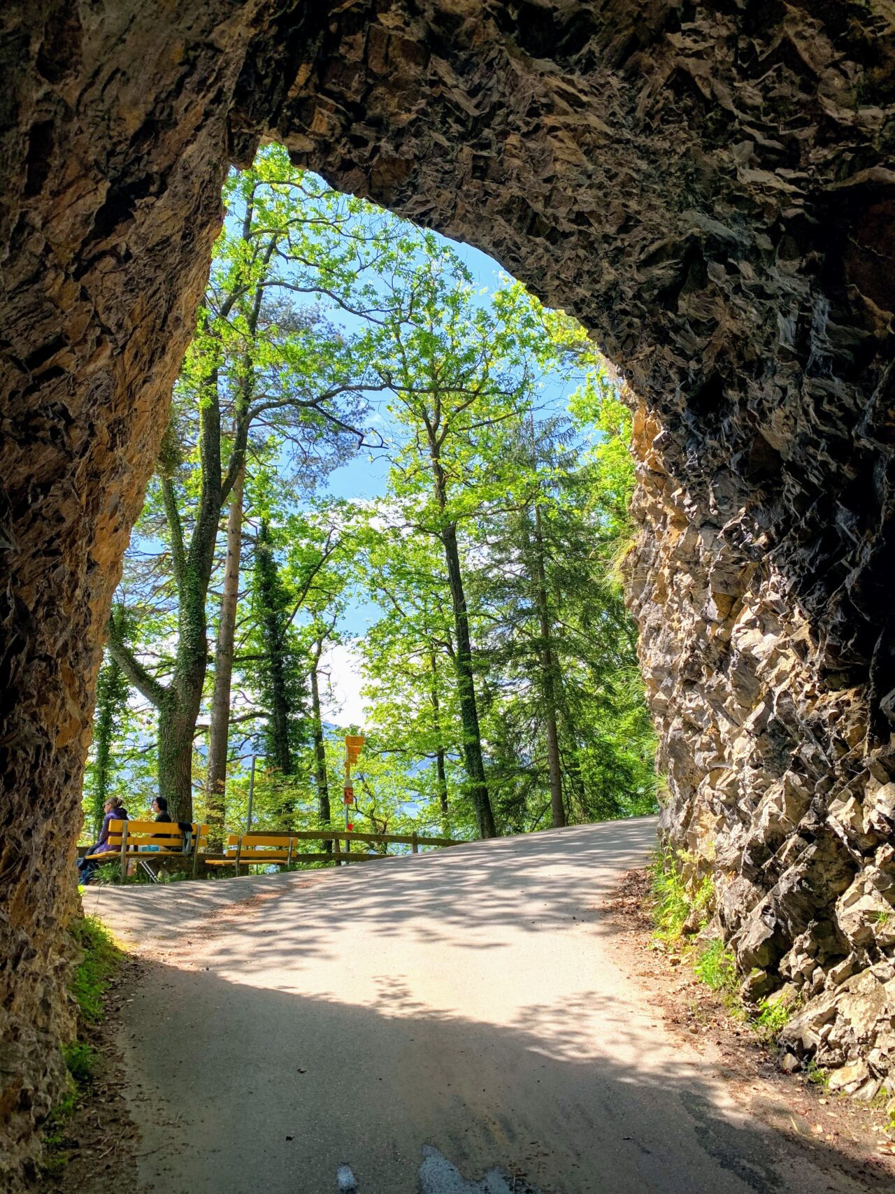 wanderung_waldstaetterweg_brunnen_vitznau_