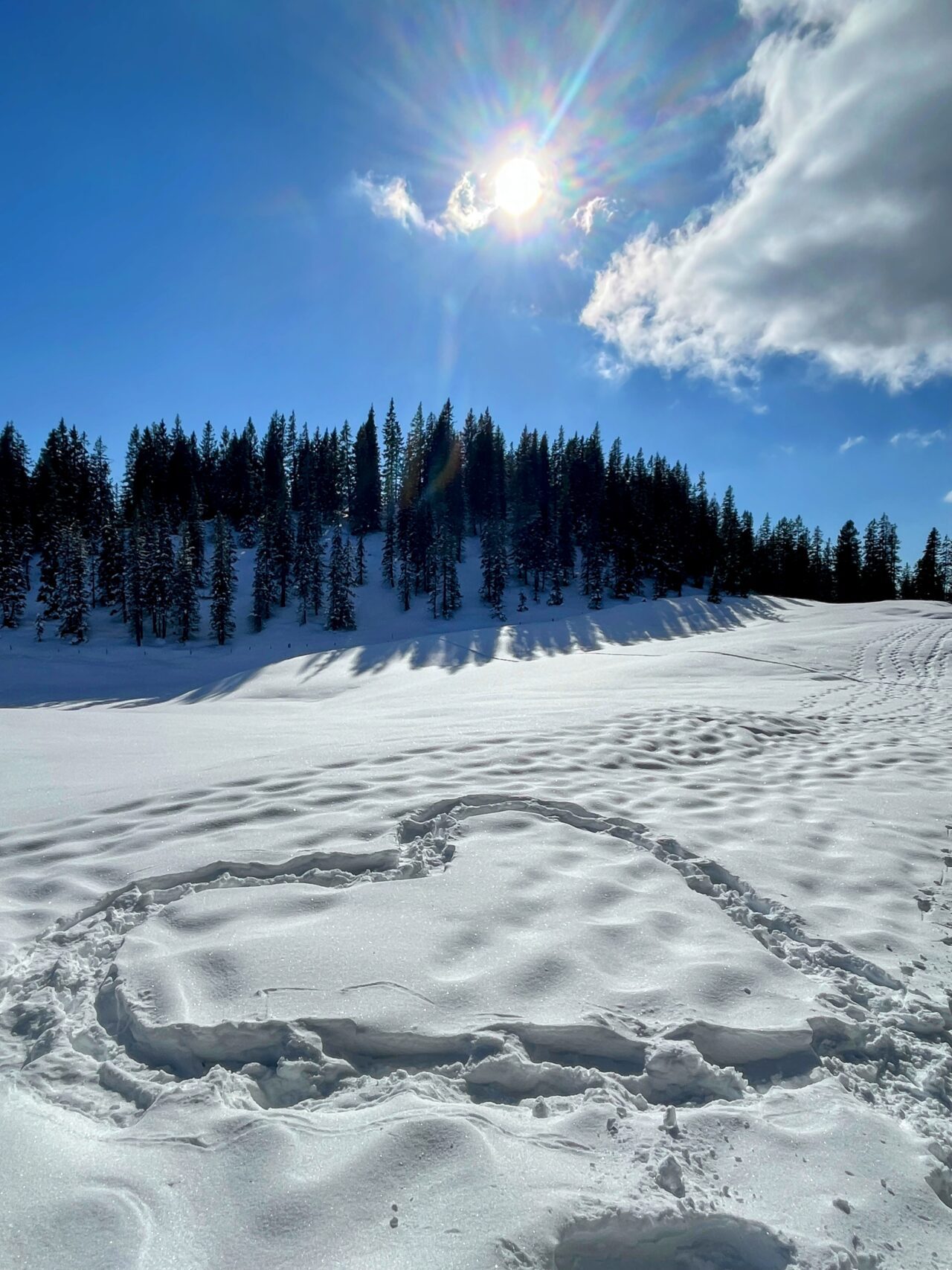 schneeschuhwandern-jaenzi-_IMG_9580 (Kopie)