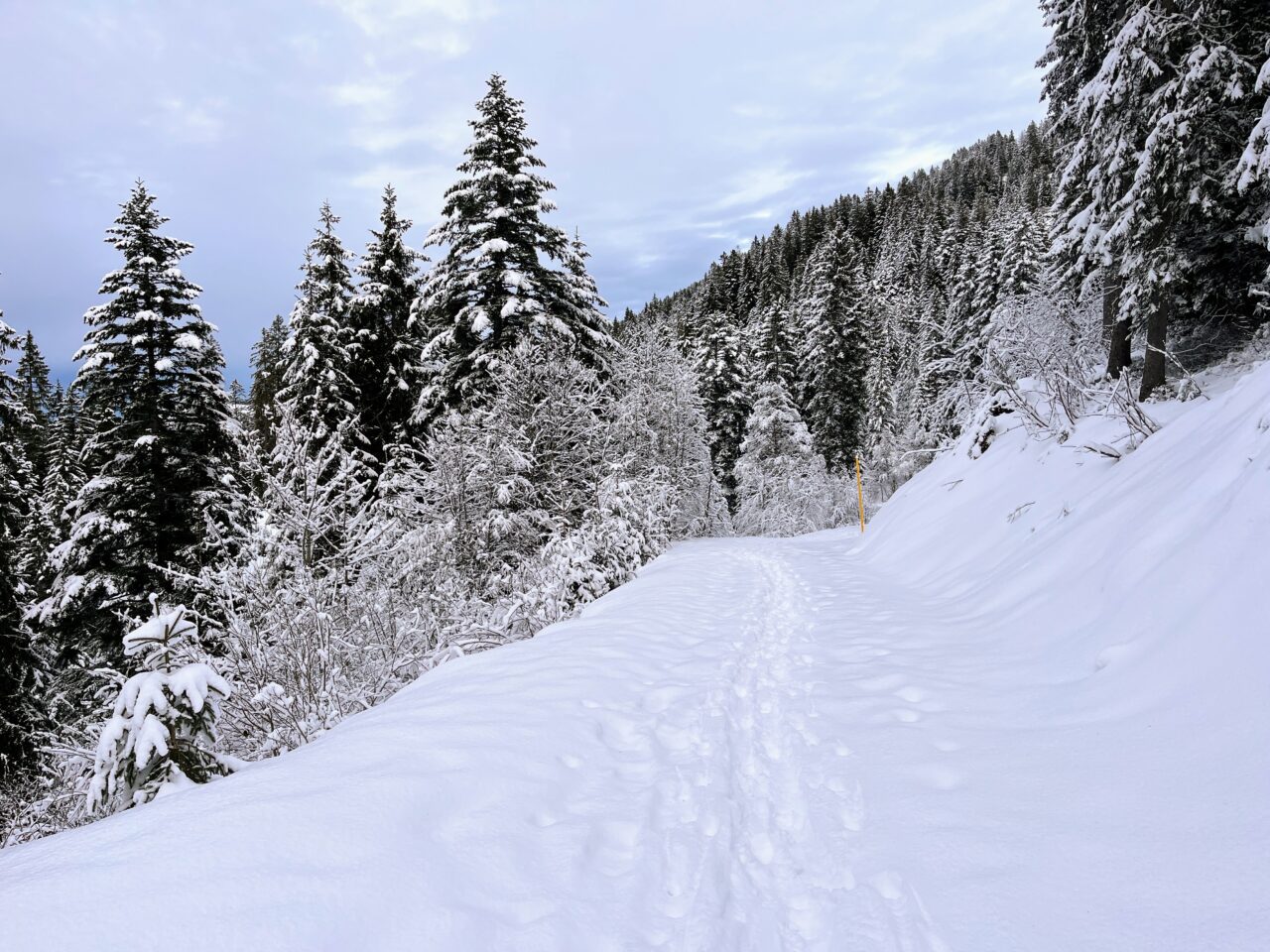 schneeschuhtour_laucherenstoeckli_ibergeregg_brunni__IMG_5816