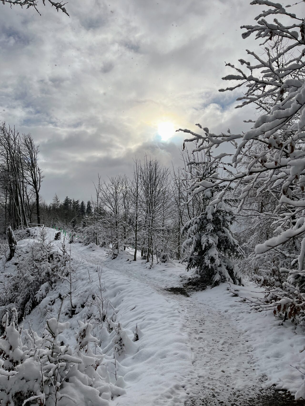 wanderung_albishorn_