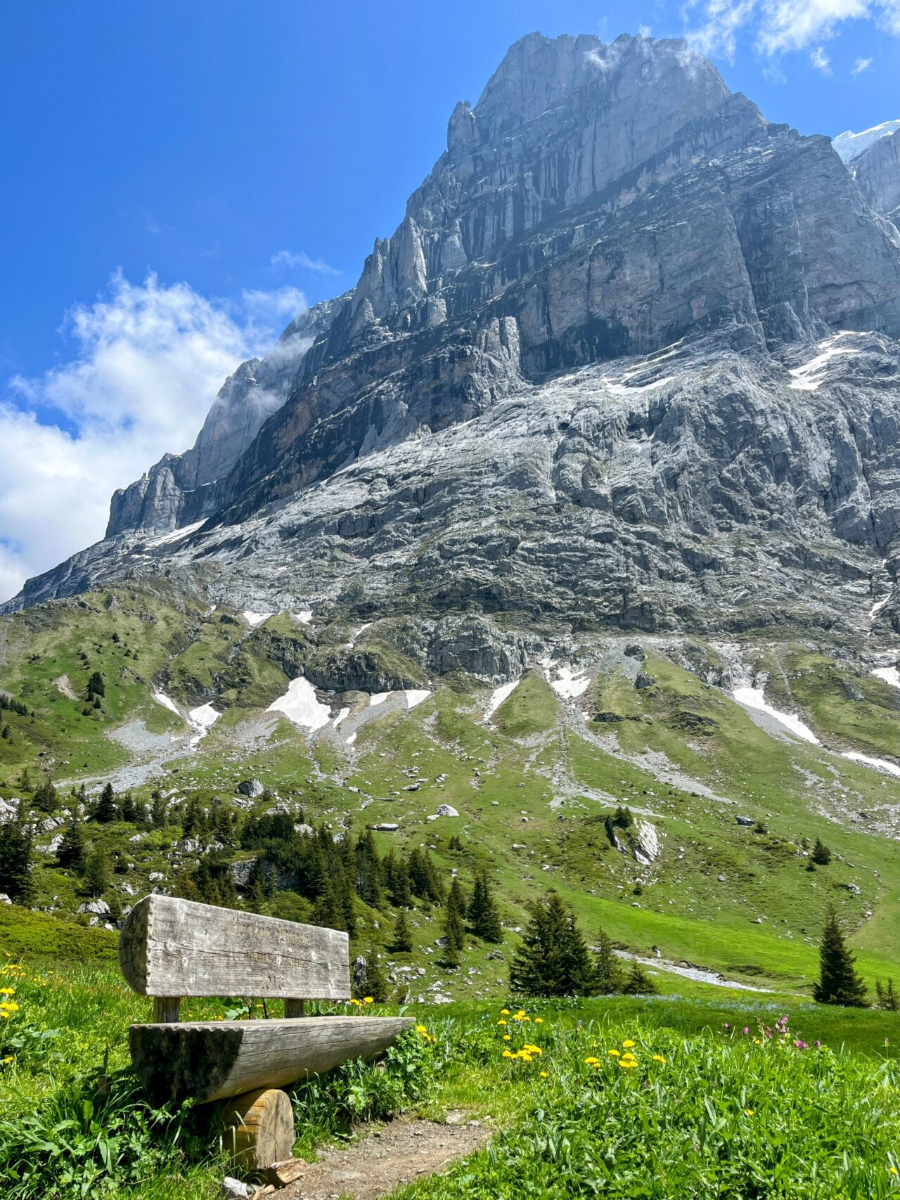 wanderung_via_alpina_meiringen_grindelwald_