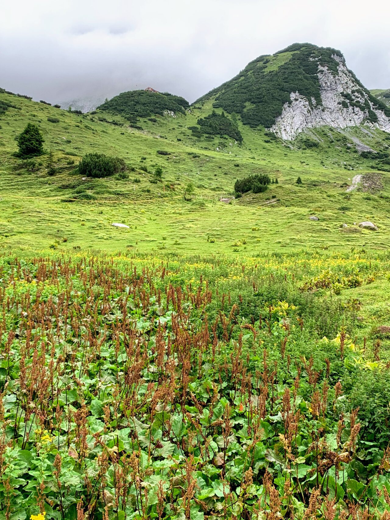 wanderung_ringelspitzhuette_