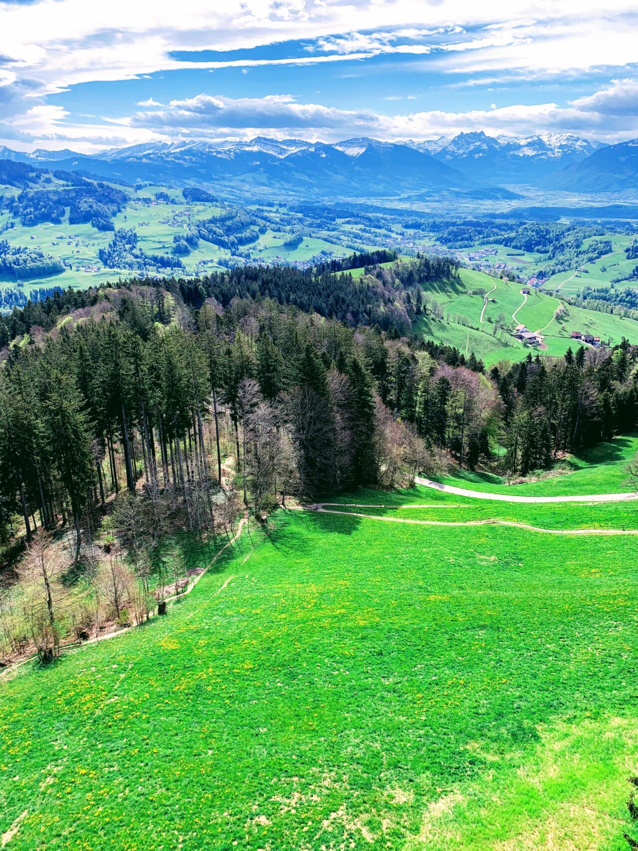 wanderung_bachtel_bachtelspalt_wald_
