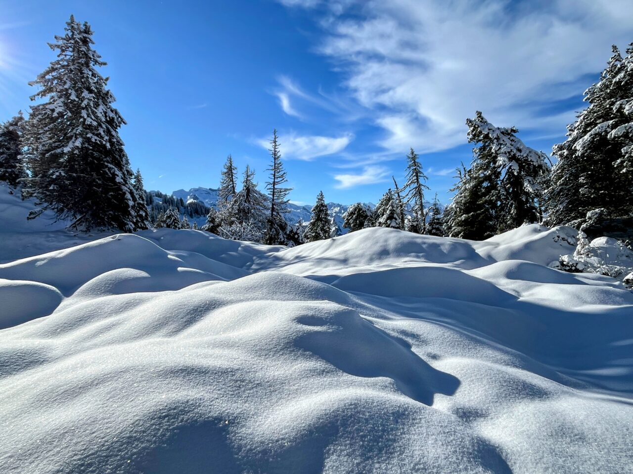 schneeschuhtour_laucherenstoeckli_ibergeregg_brunni__IMG_5766