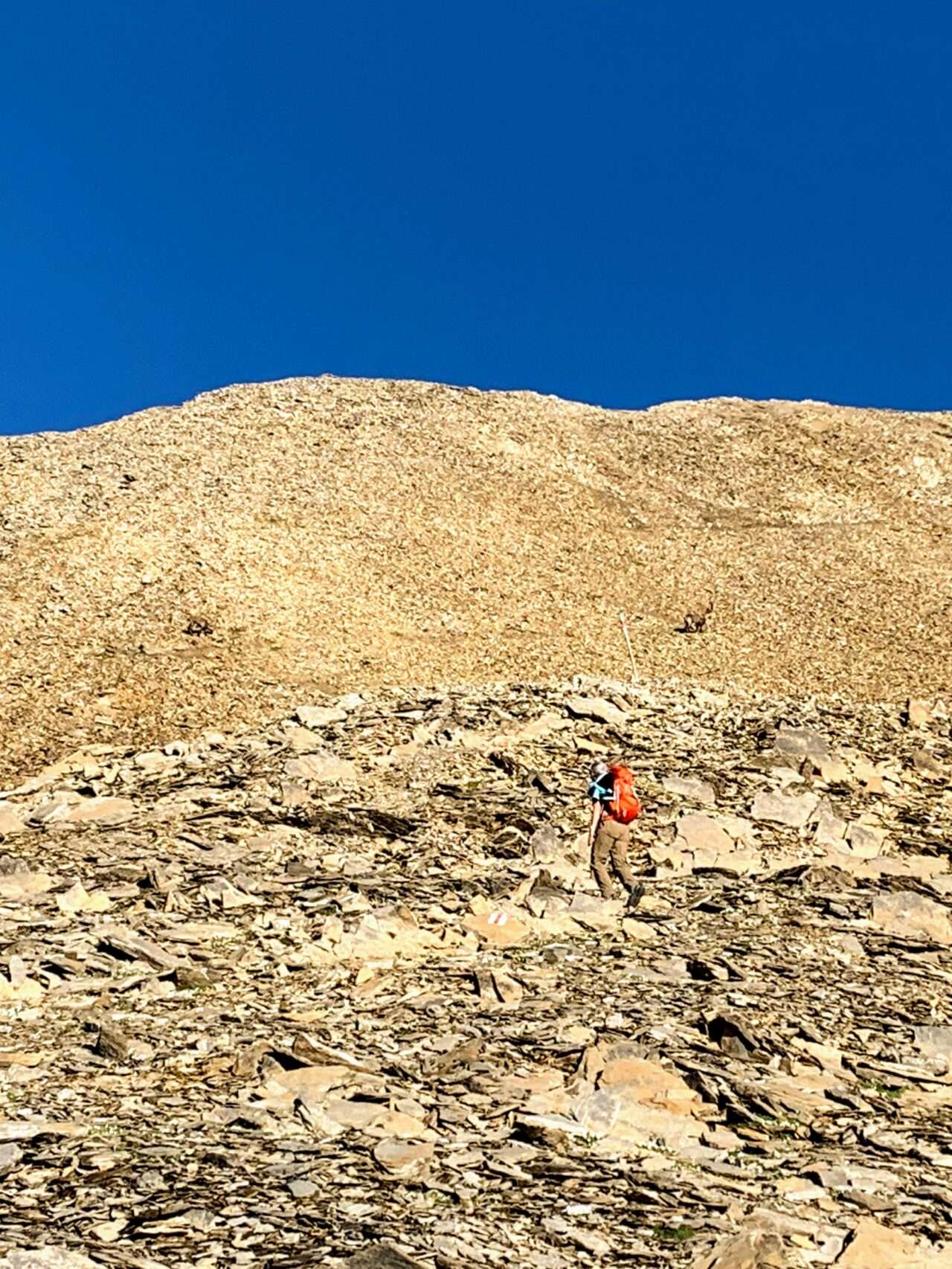 wanderung_tour_du_wildhorn_