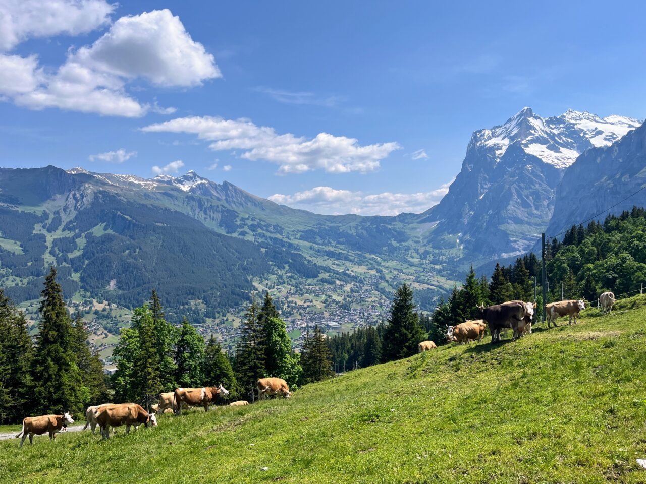 wanderung_via_alpina_grindelwald_lauterbrunnen_