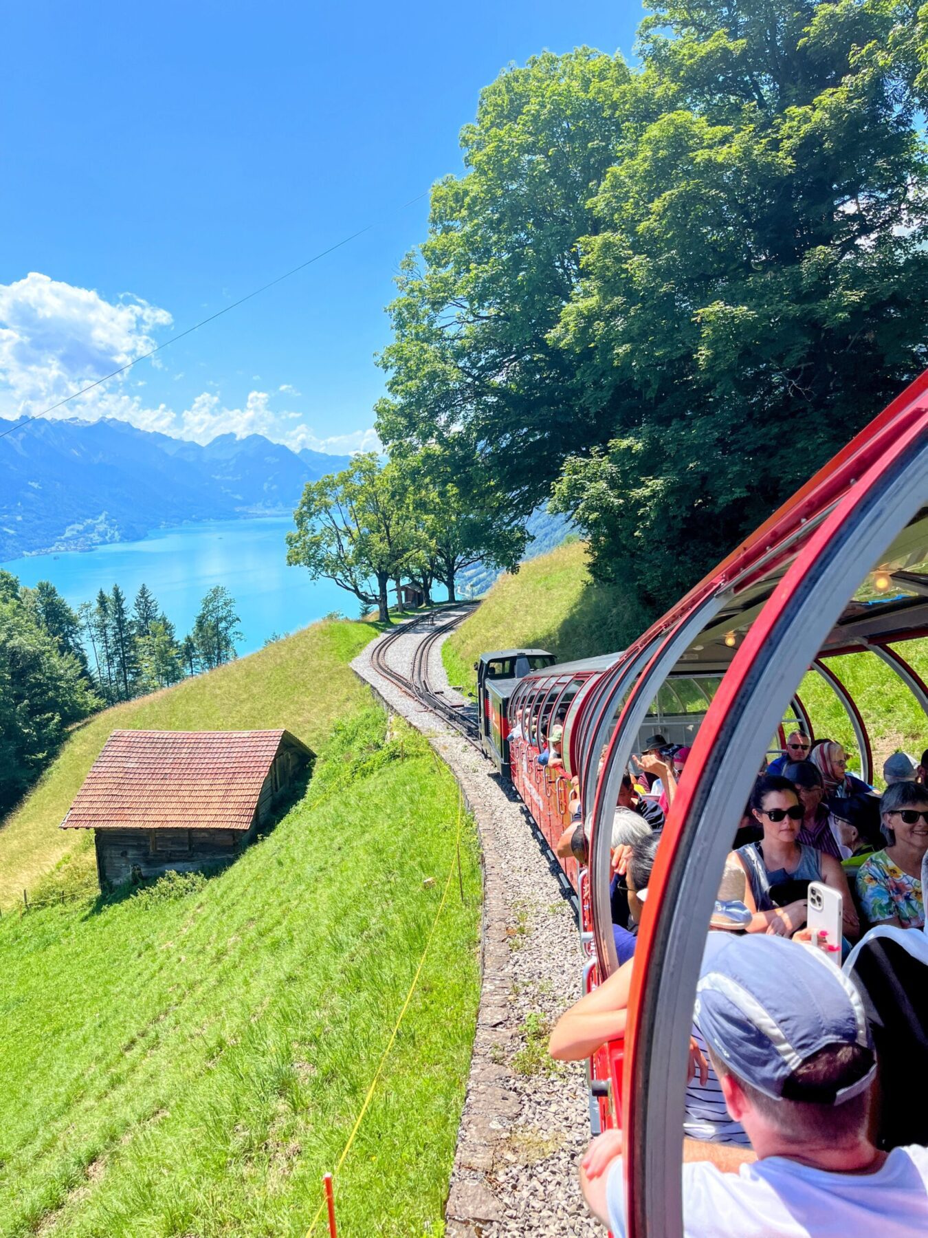 Bei der Wanderung nähert man sich immer wieder den Gleisen, bis wir sie schließlich überqueren. Wir lassen uns hier nieder und verspeisen unser mitgebrachtes Picknick. So können wir in aller Ruhe die Züge beobachten, die hier langsam den Berg hochschnaufen oder auch herunterfahren. Wir finden das sogar noch spannender als drinzusitzen!