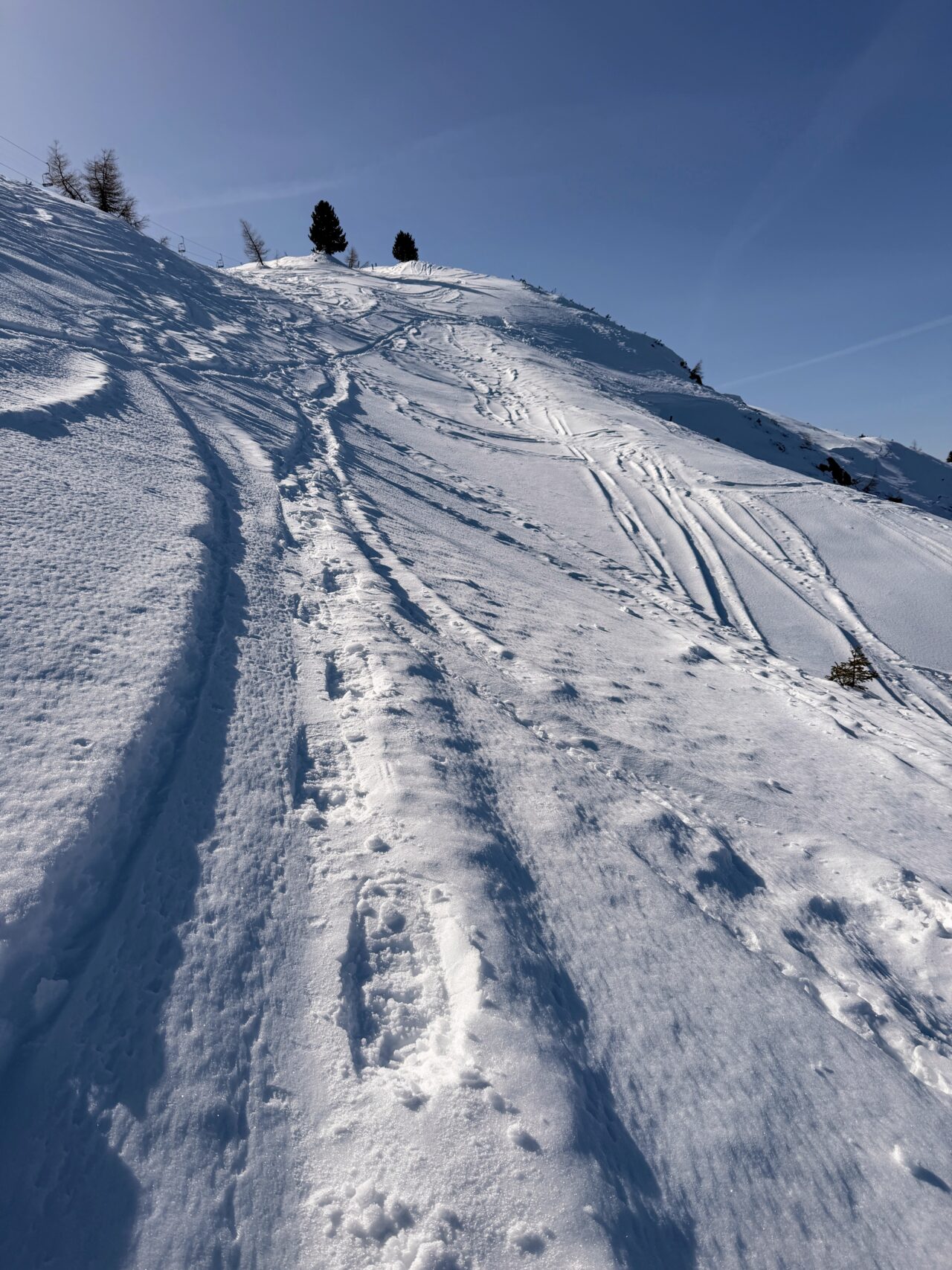 schneeschuhsafari_graubuenden_braembruesch_feldis__IMG_0524