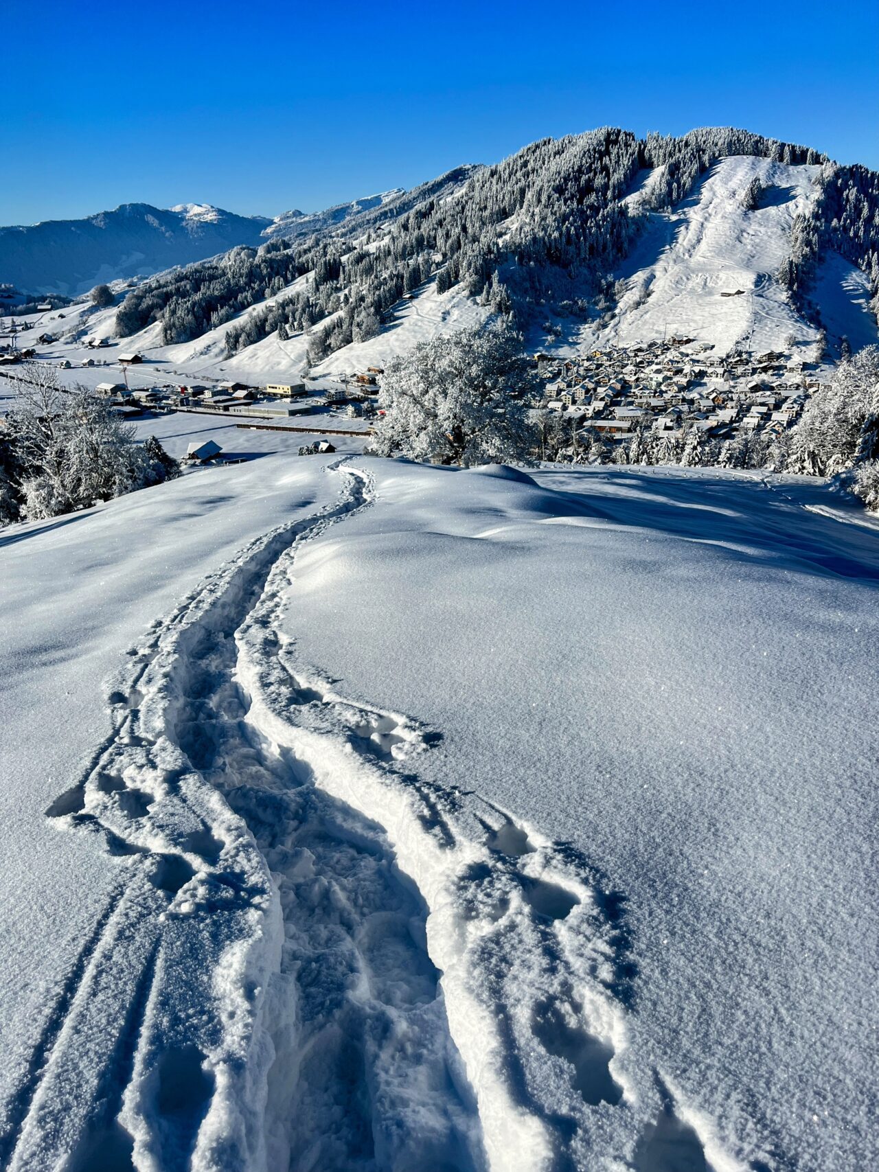 schneeschuhwanderung_rothenthurm_ahoren_biberbrugg__IMG_2341
