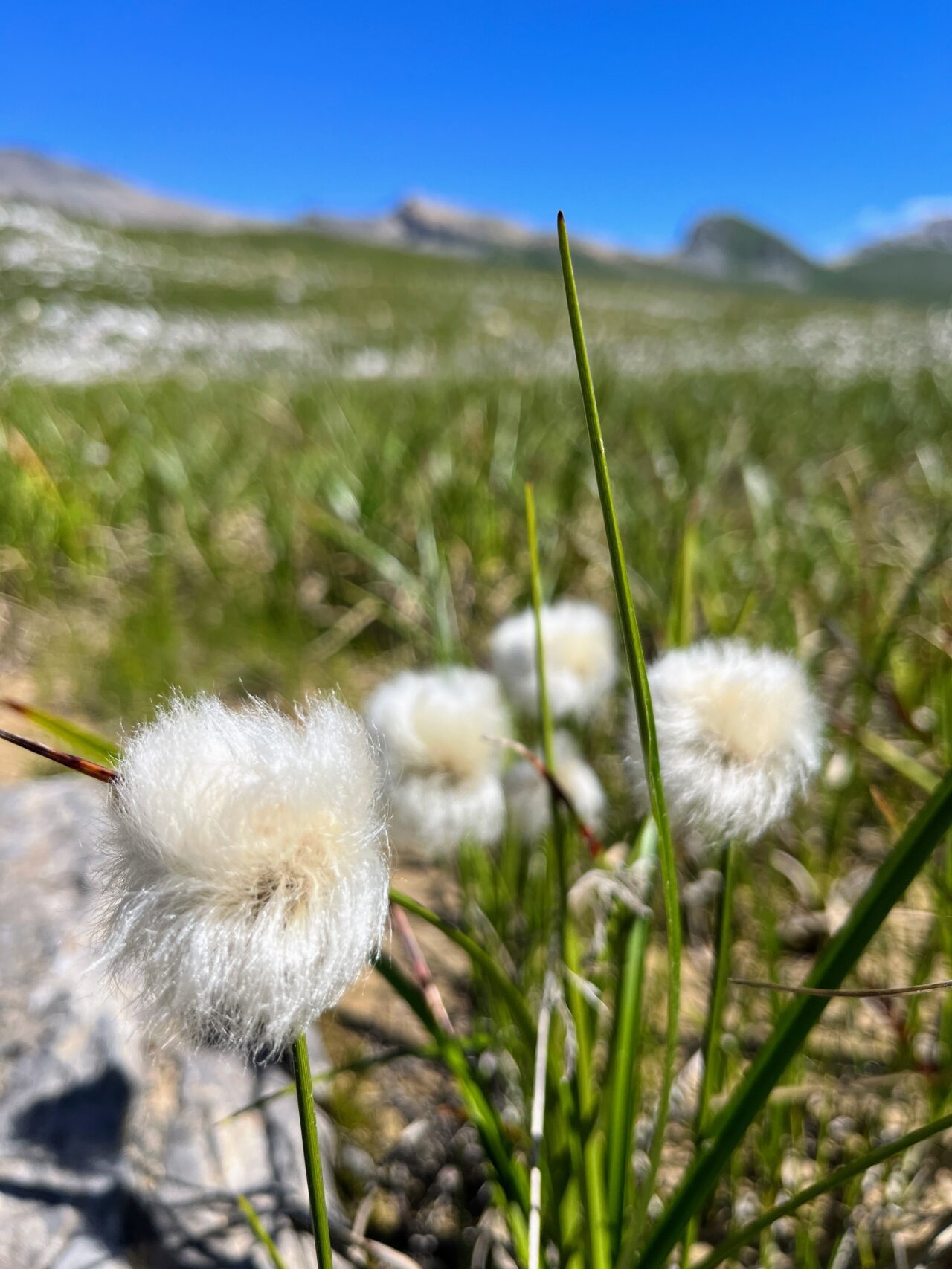 wanderung_cufercalhütte_