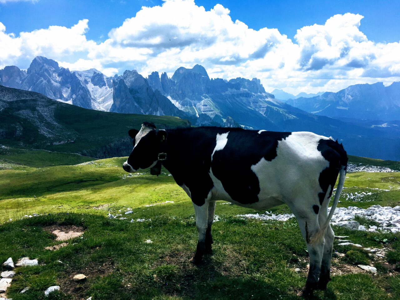 wandeurng-spitzbühlhütte-schlernhaus-pez-