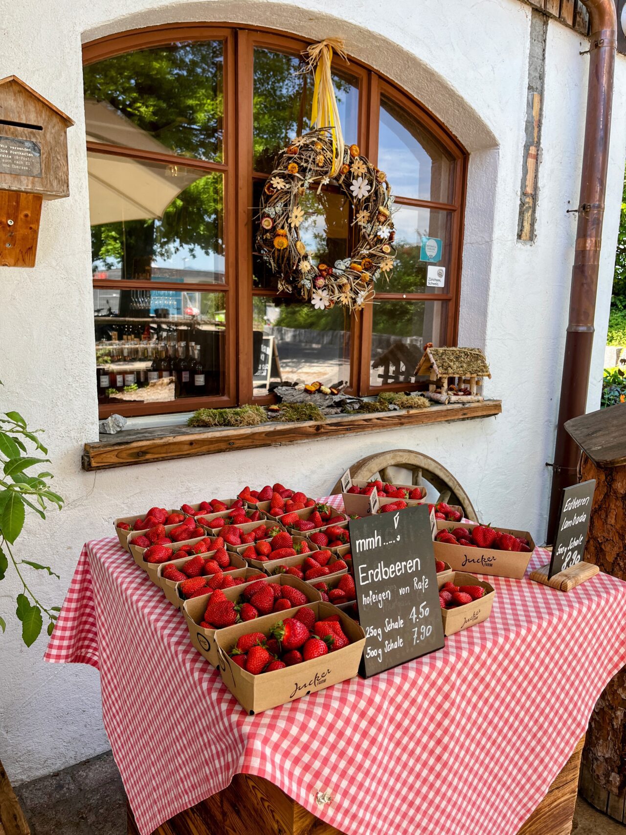 umrundung_zürichsee_schmerikon_stäfa_