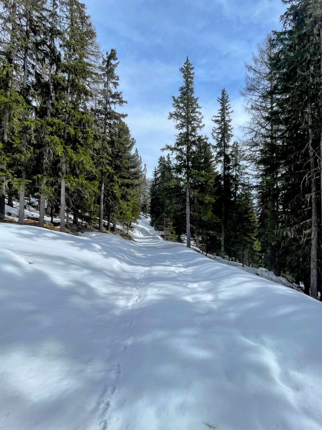 winterwanderung_lü_santa_maria__IMG_8510