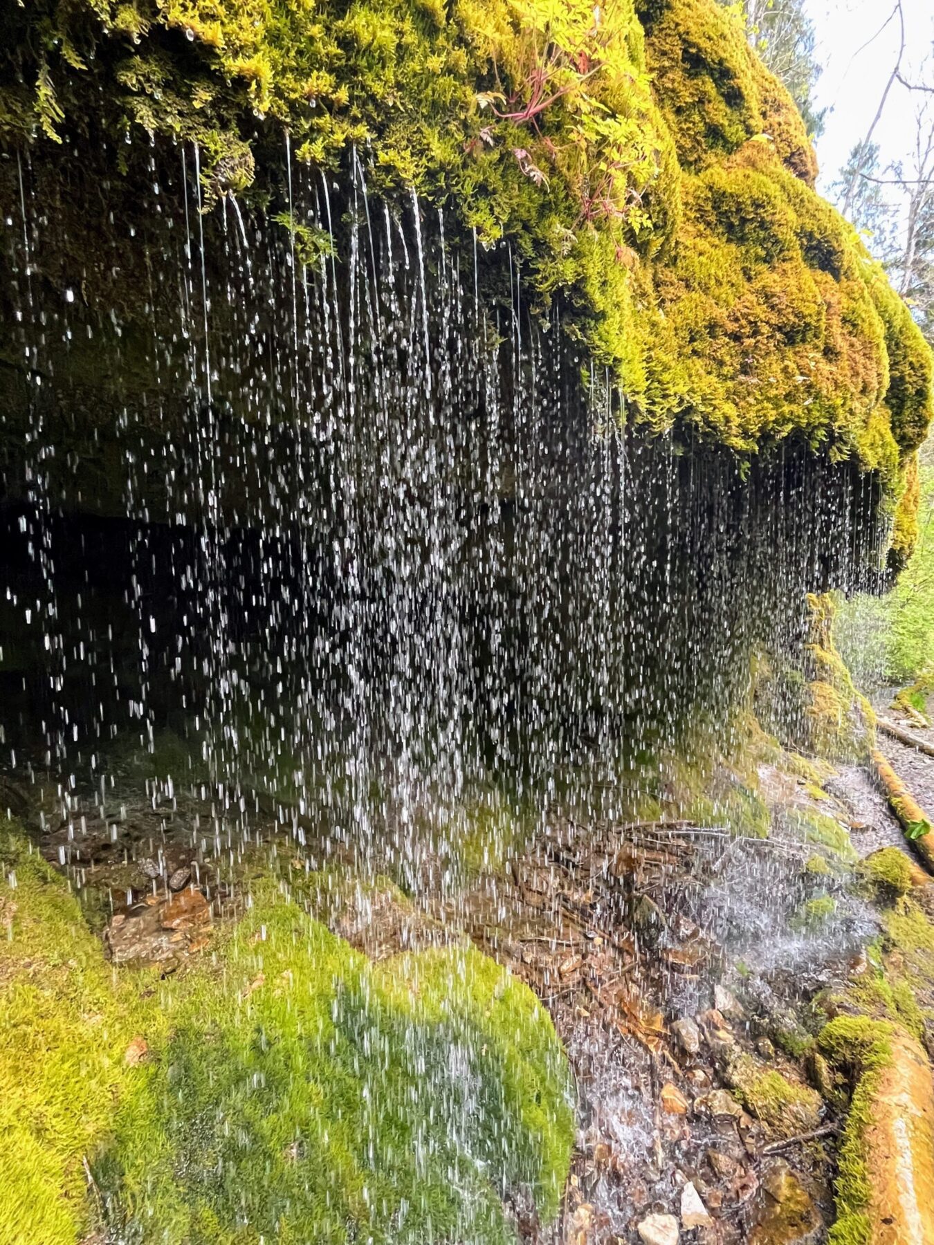 wanderung_schluchtensteig_schwarzwald_
