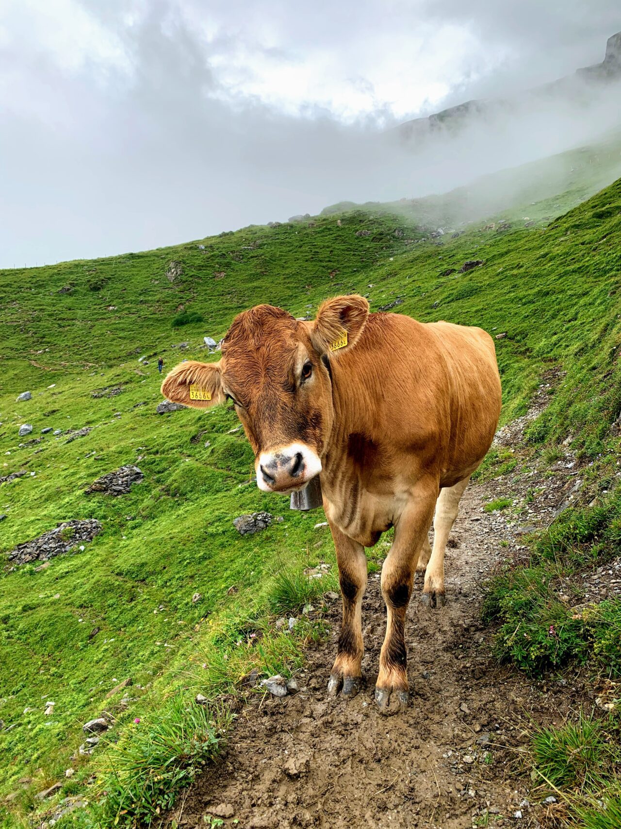 wanderung_Wasserweg_Flims_