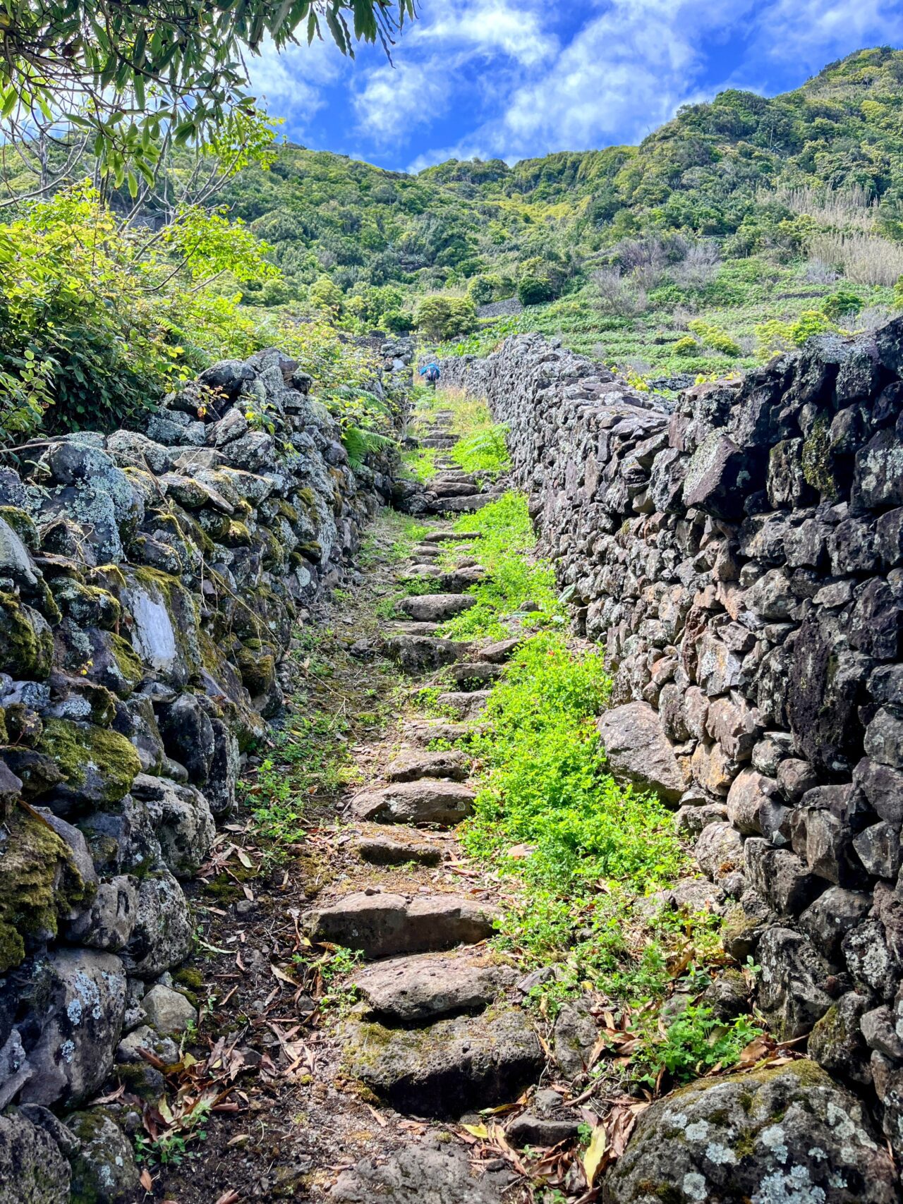 wanderung_ilha_a_pe_tag_3_lapa_norte_