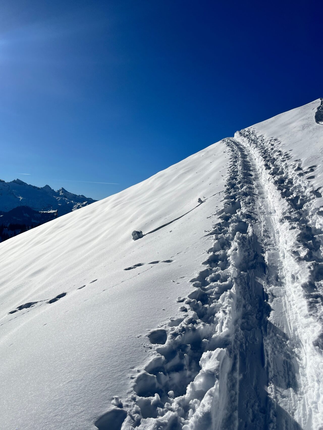 schneeschuhwanderung_oberiberg_furggelenstock__IMG_2788