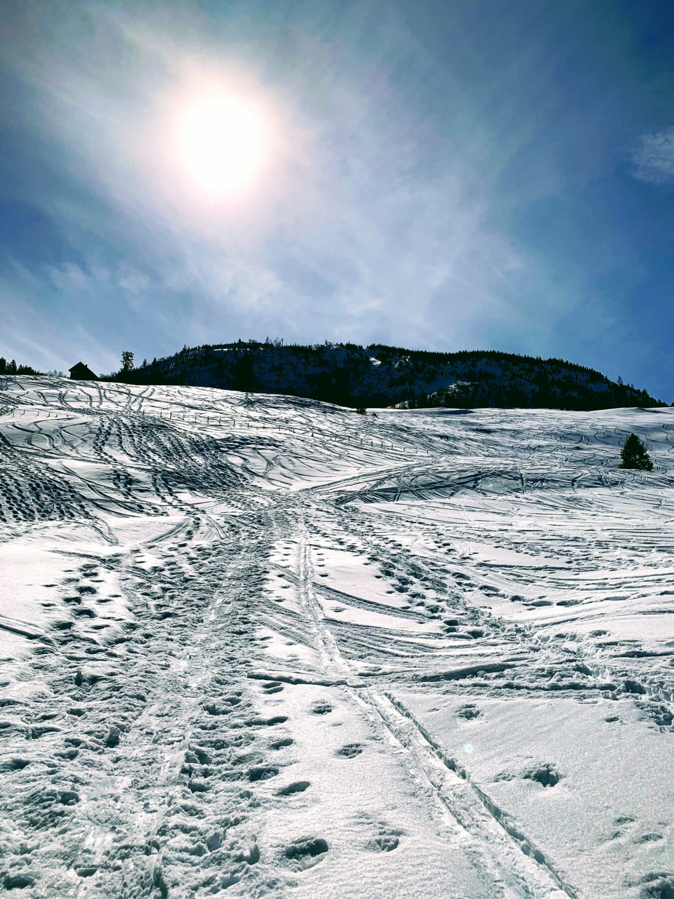 schneeschuhwanderung_spitalgipfel_