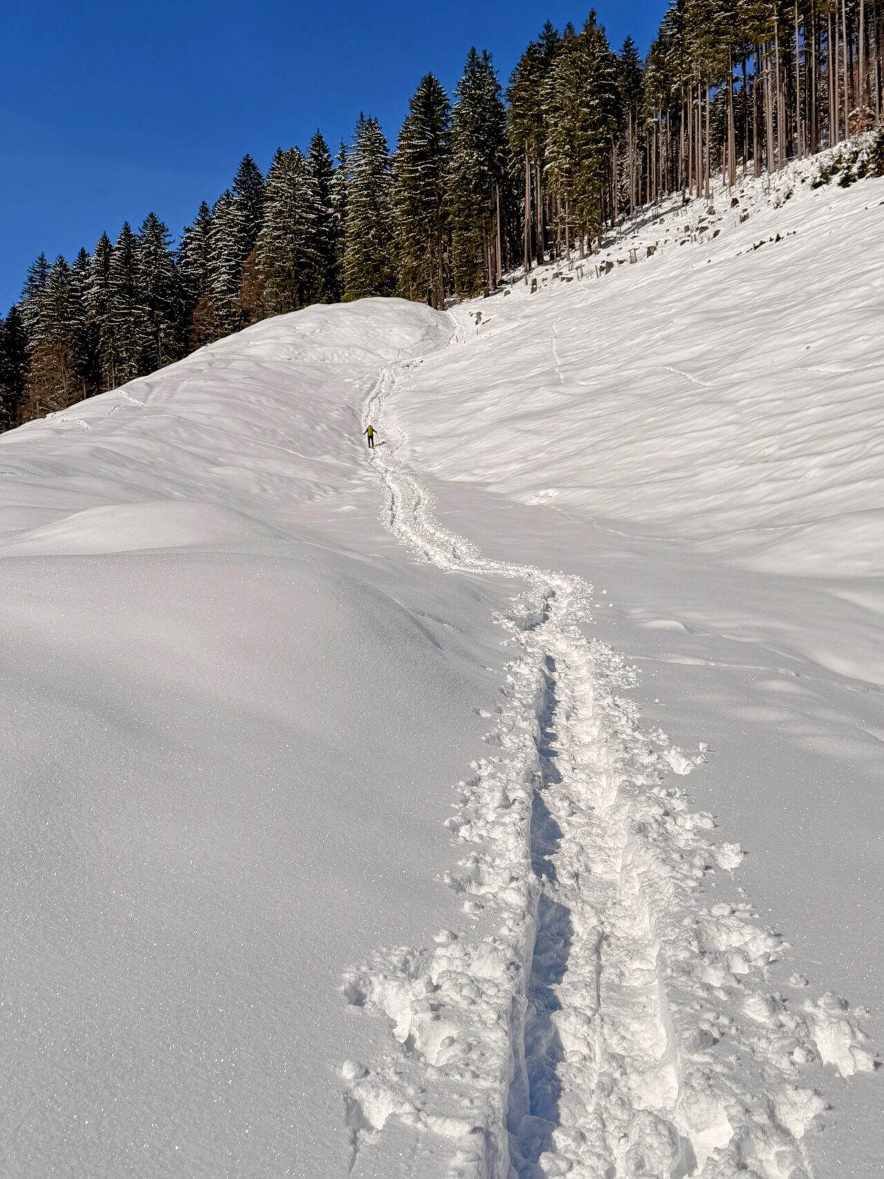 schneeschuhtour_lehmen_kronberg_chammhaldenhuette_schwaegalp__IMG_1324