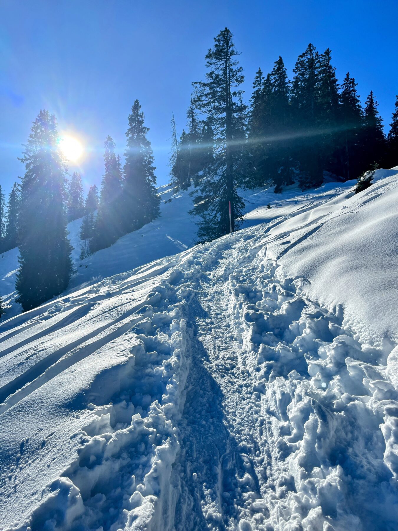 schneeschuhwanderung_oberiberg_furggelenstock__IMG_2779
