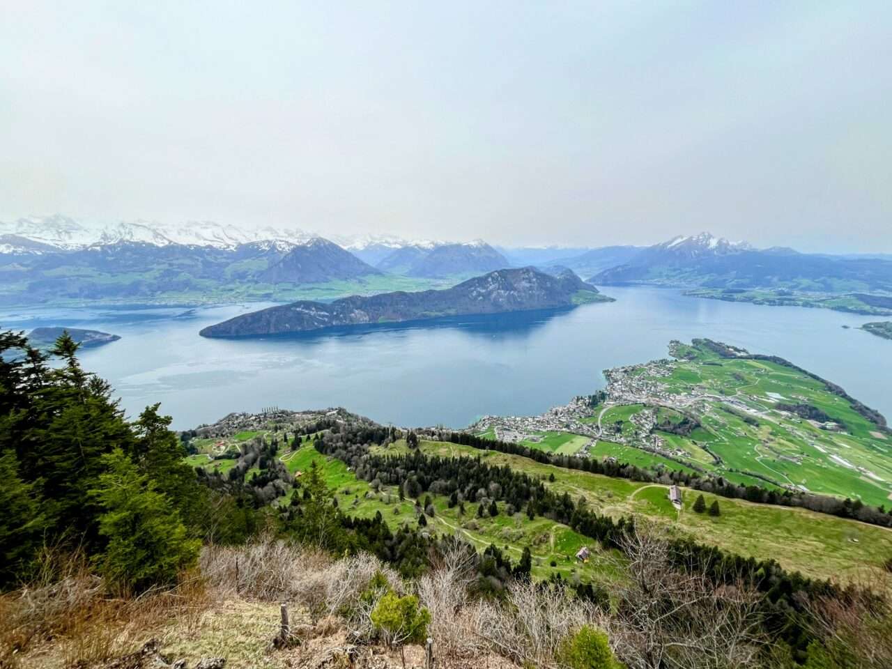 wanderung_weggis_rigi_