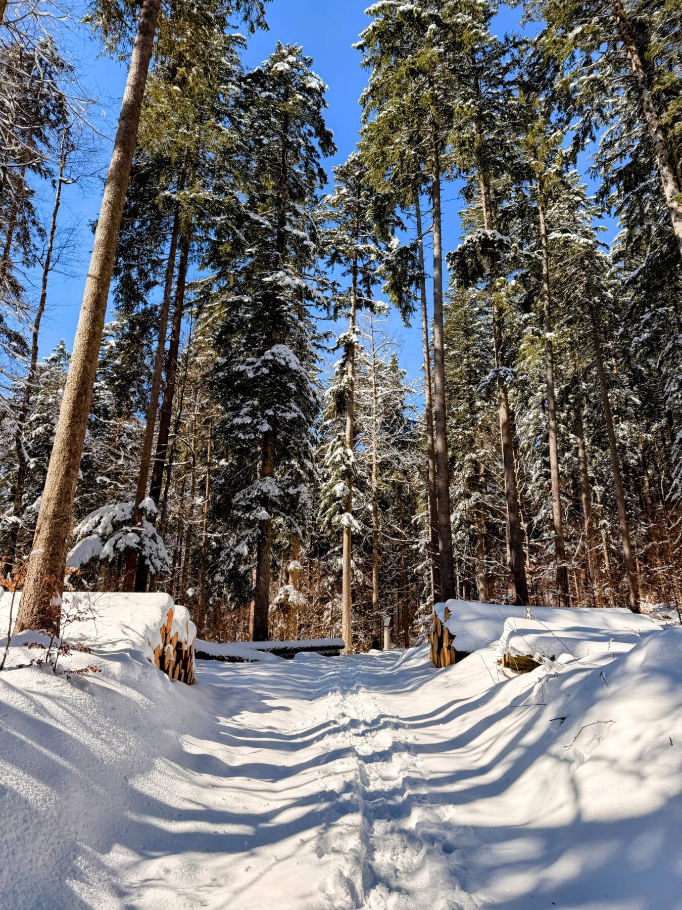 schneeschuhtour_lehmen_kronberg_chammhaldenhuette_schwaegalp__IMG_1303