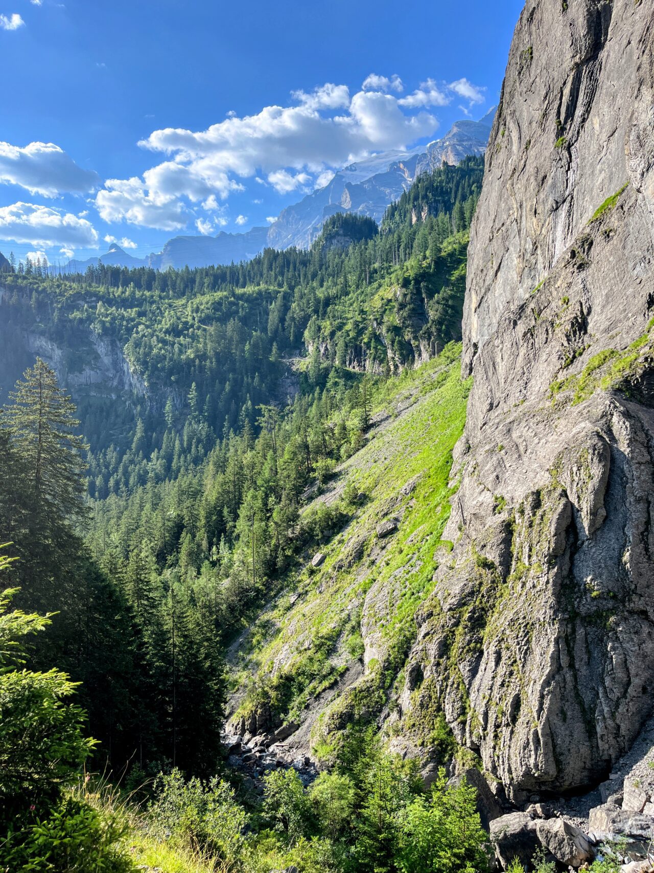 wanderung_via_alpina_etappe_14_kandersteg_adelboden_