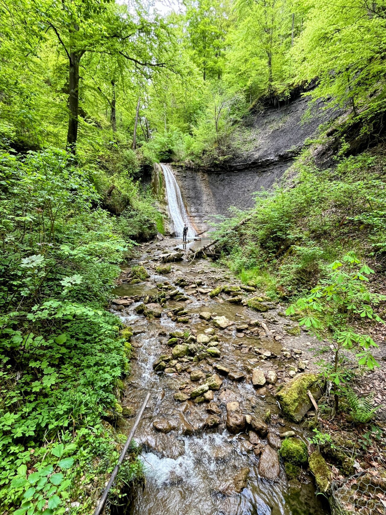 wanderung_schluchtensteig_schwarzwald_