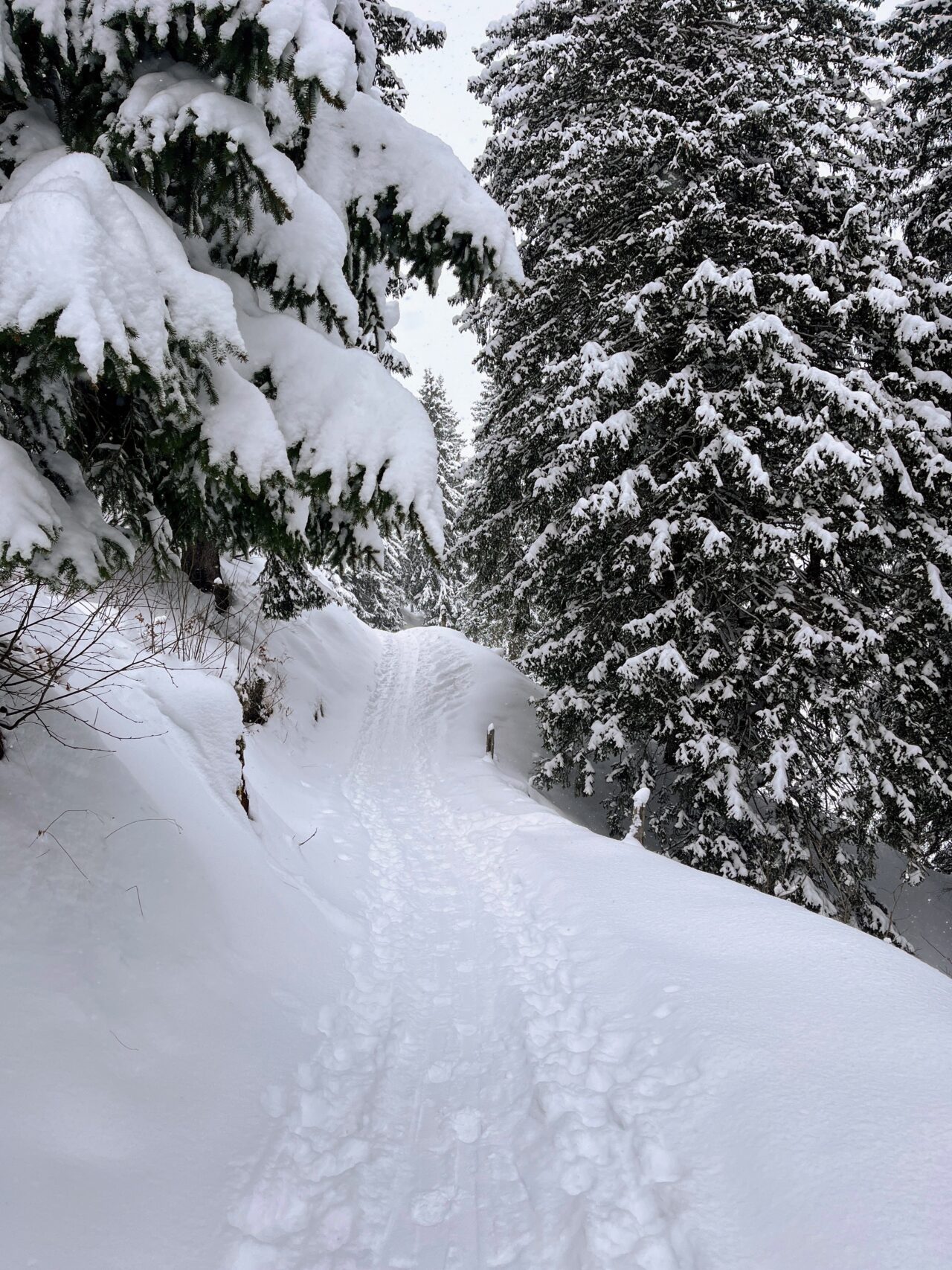 schneeschuhwanderung-furggelenstock-_IMG_9282