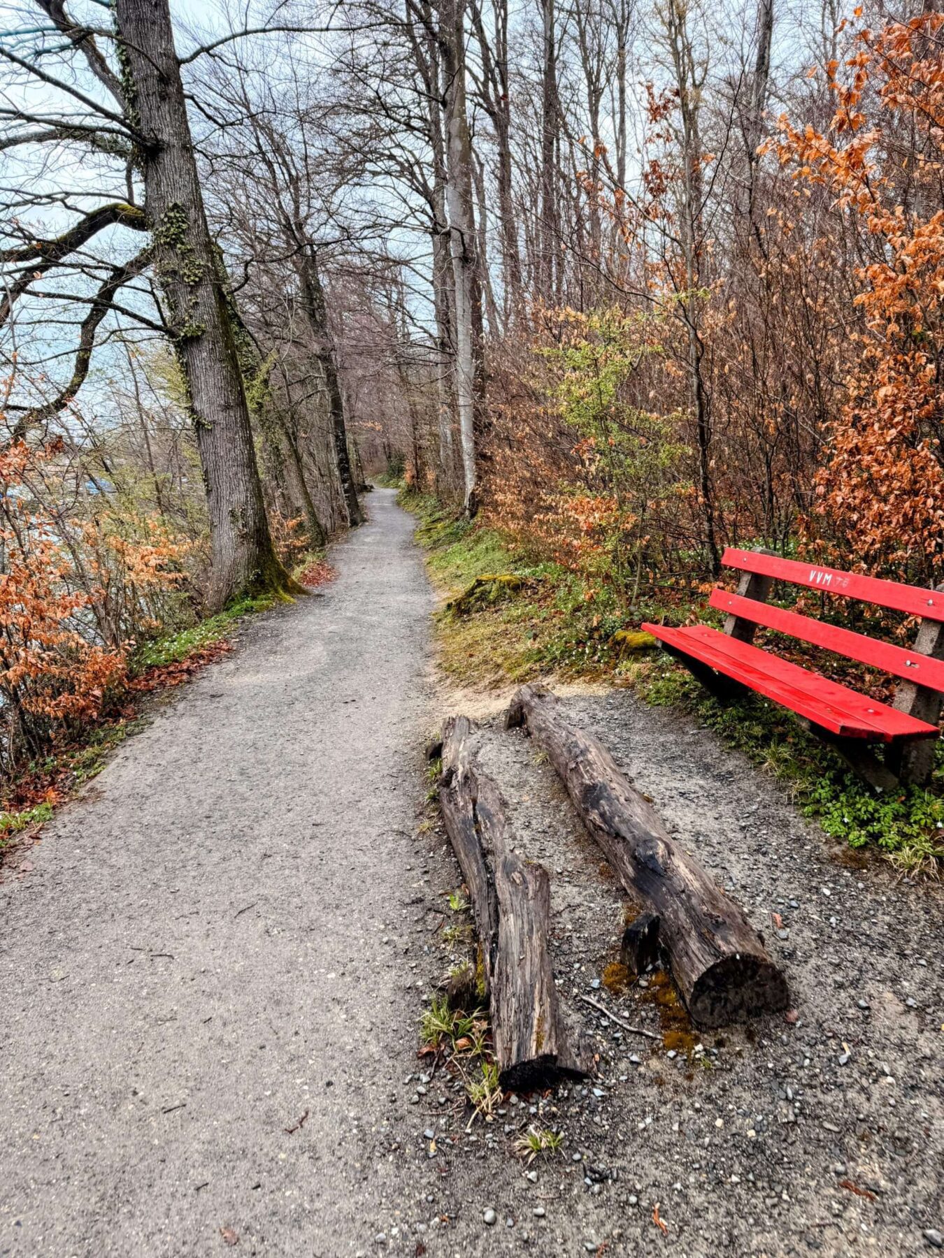 wanderung_umrundung_hallwiler_see_