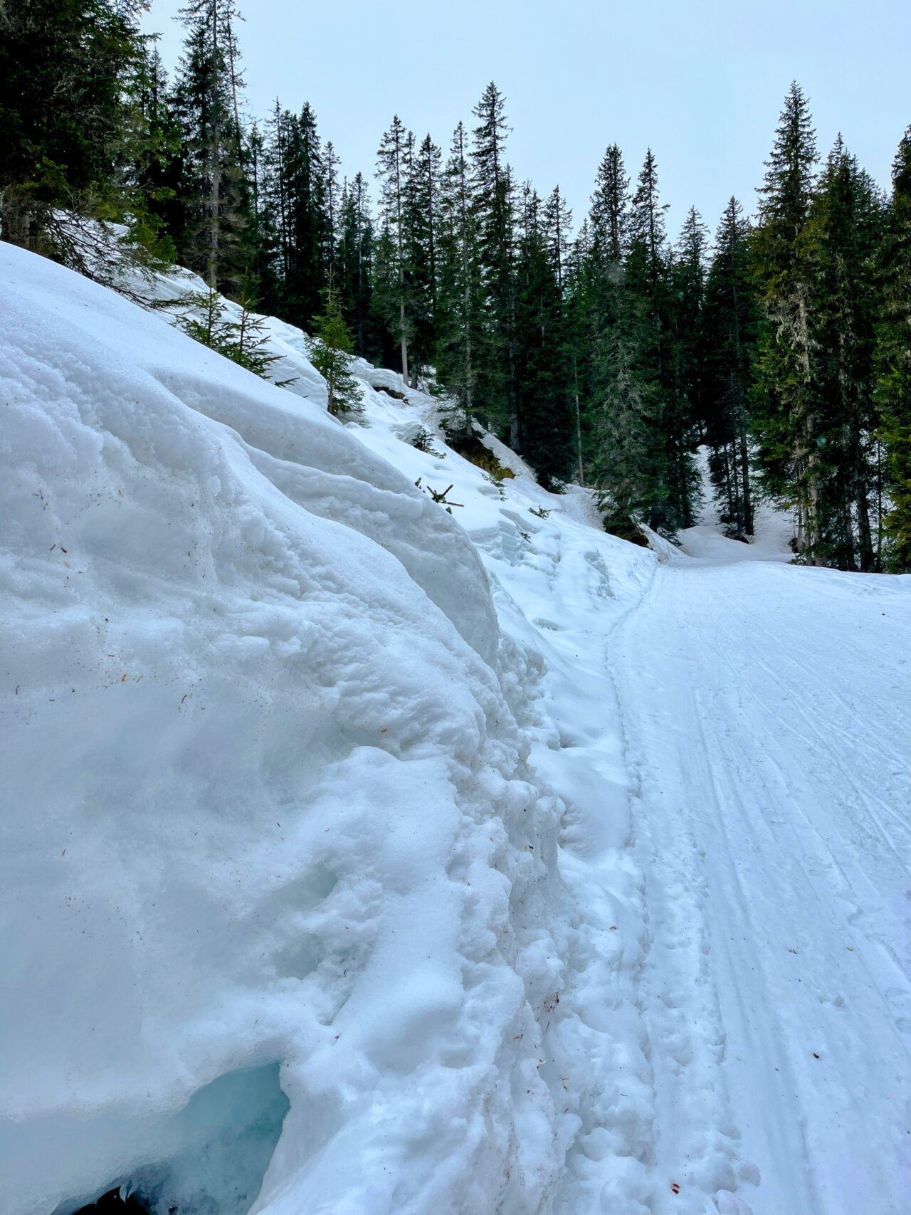 winterwanderung_und_schlitteln_lindauer_huette__IMG_4454