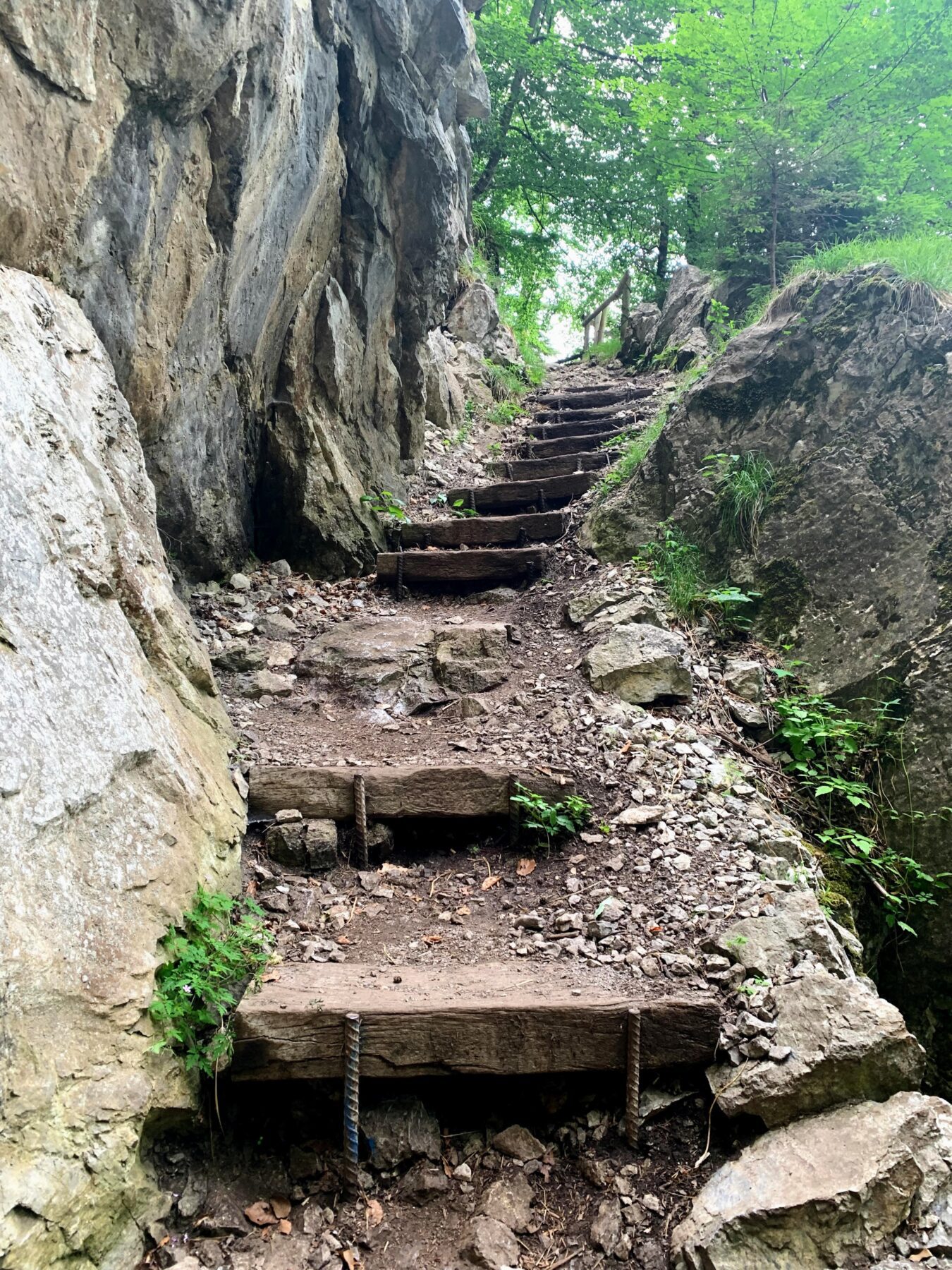 wanderung_trans_swiss_trail_beckenried_ruetli_