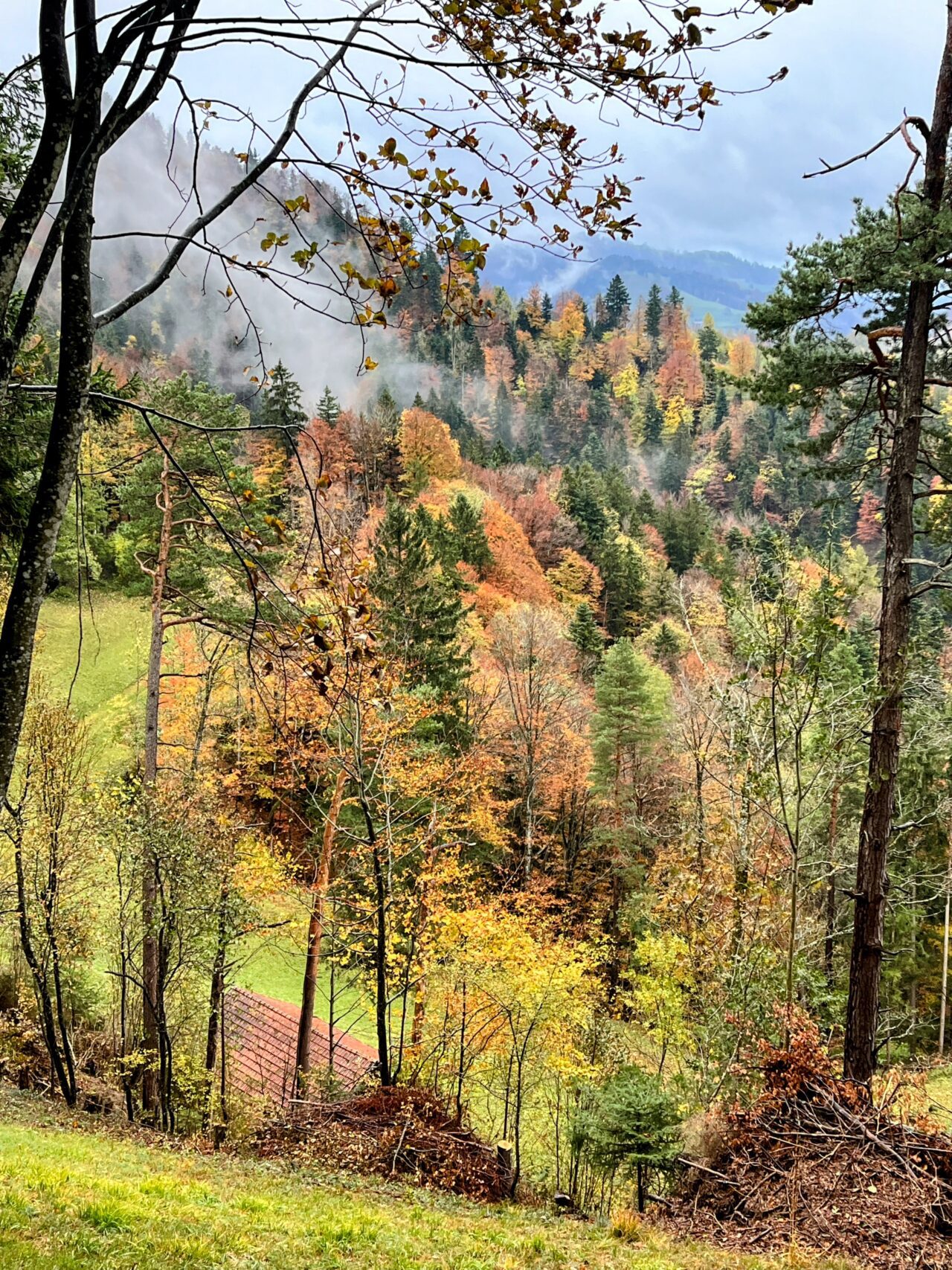 wanderung_hörnli_