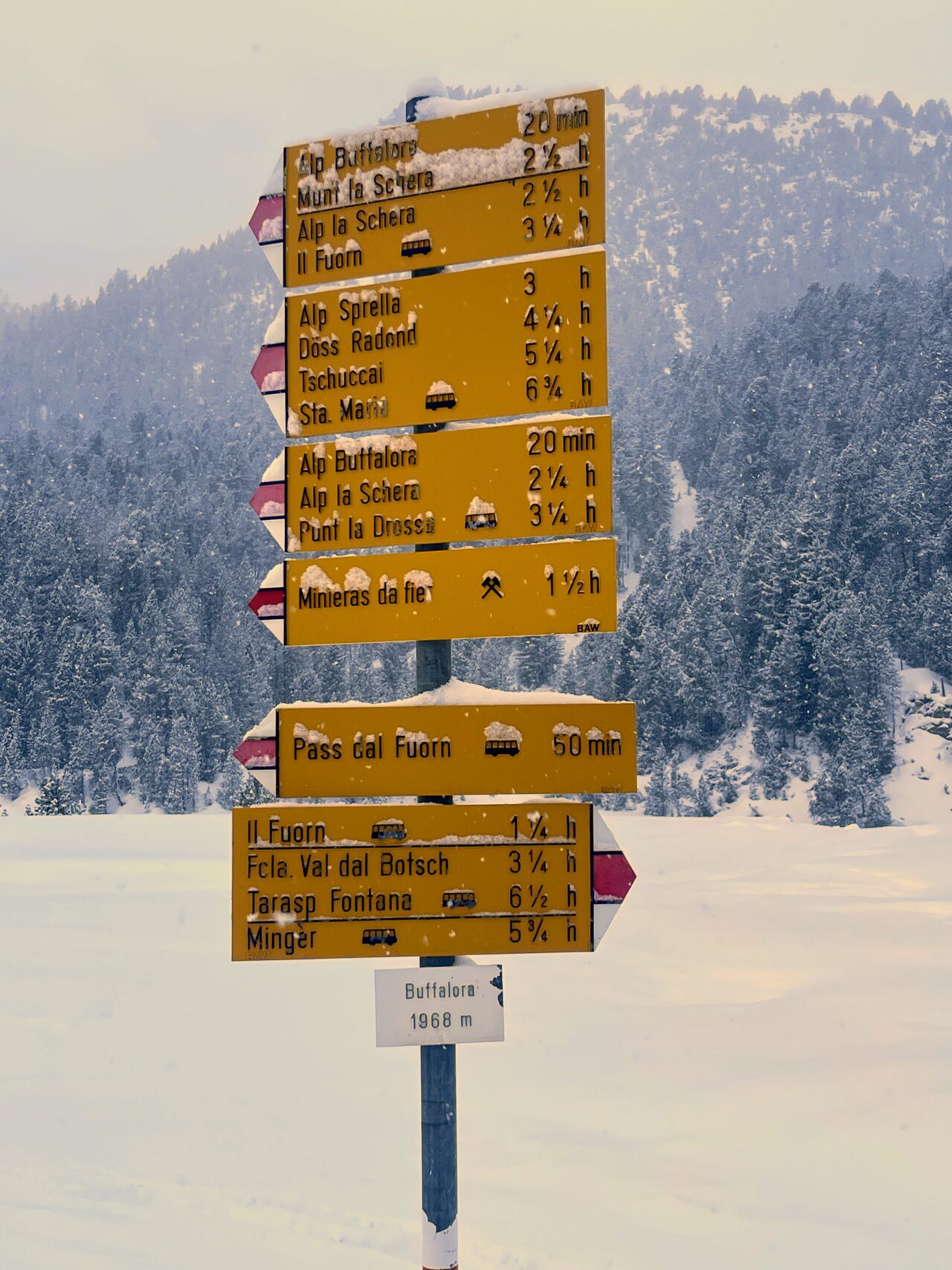 schneeschuhtour_buffalora_