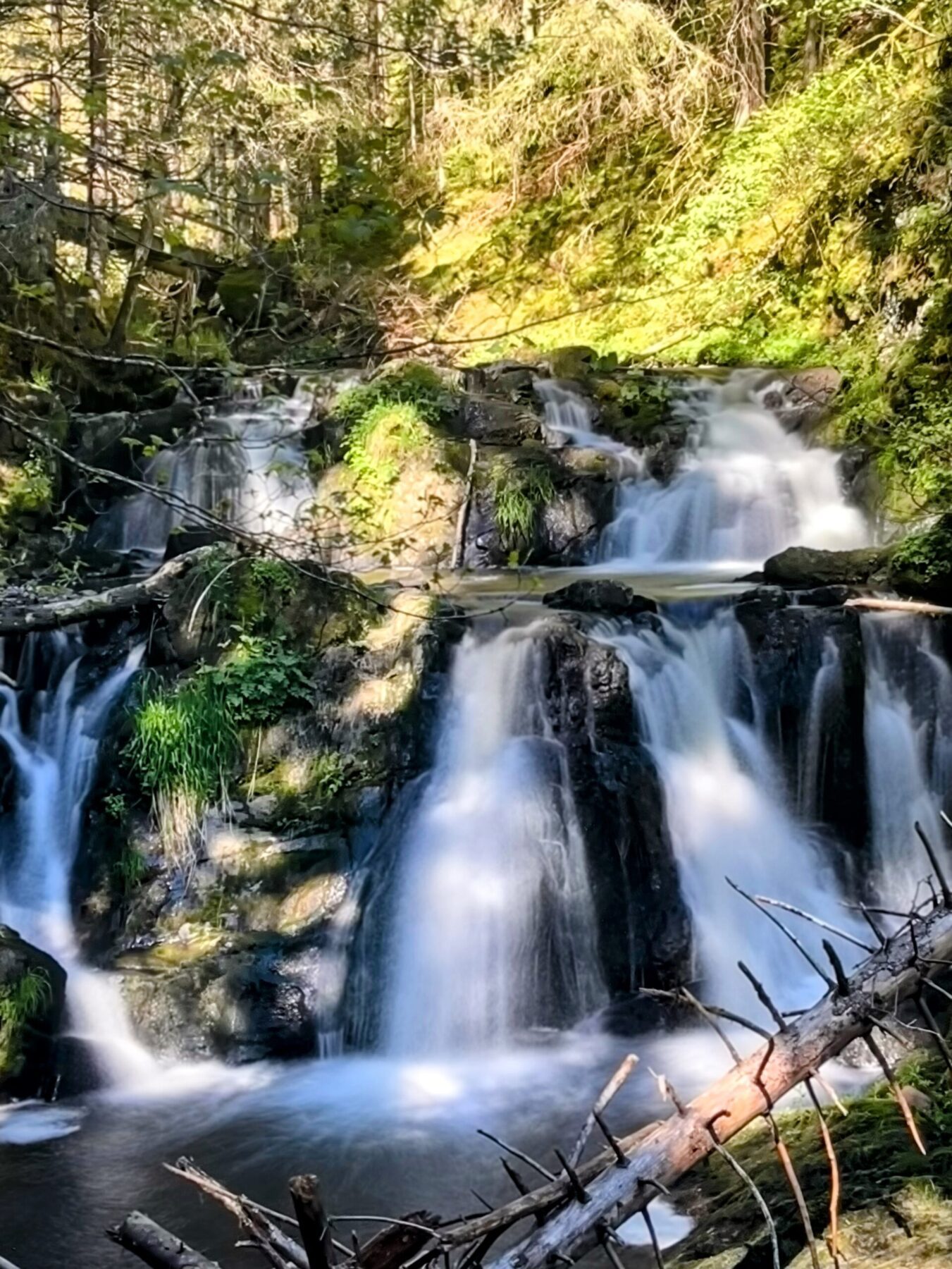 wanderung_schluchtensteig_schwarzwald_