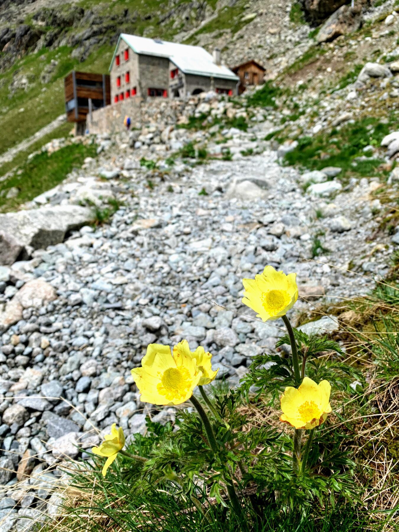 wanderung_tschiervahuette_