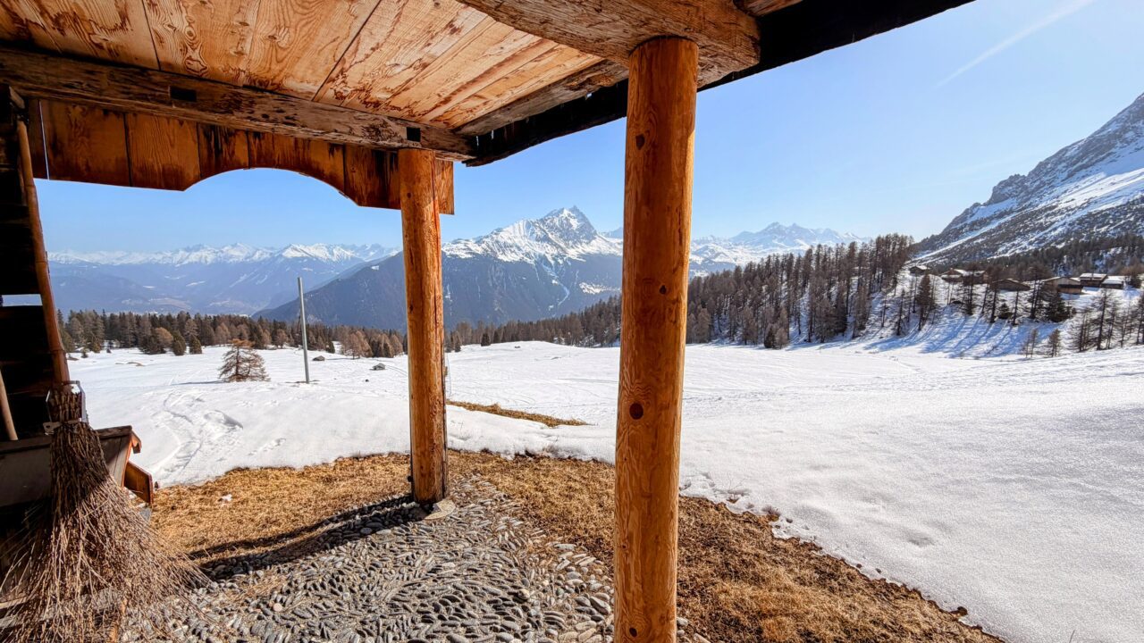 schneeschuhsafari_graubuenden_salouf_munter__IMG_0674