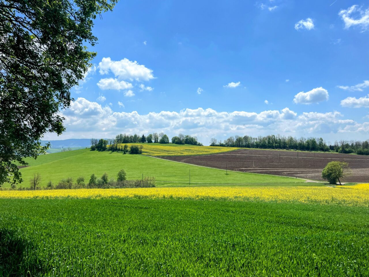 wanderung_schluchtensteig_schwarzwald_