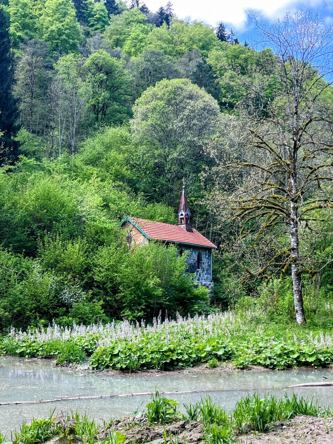 wanderung_schluchtensteig_schwarzwald_