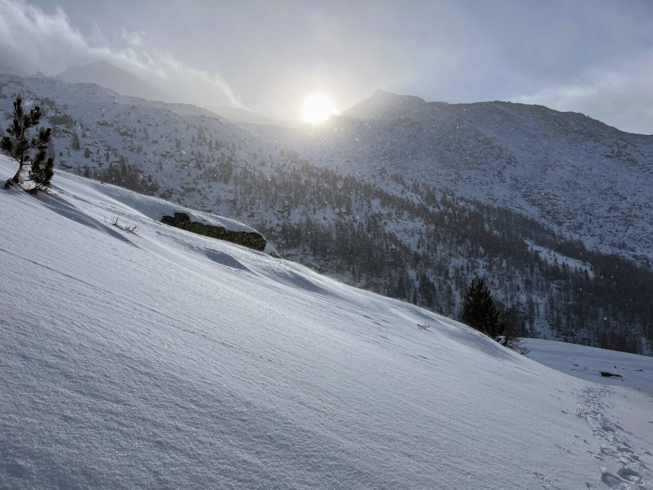 schneeschuhtour-weissmies-hohsaas-_IMG_8846