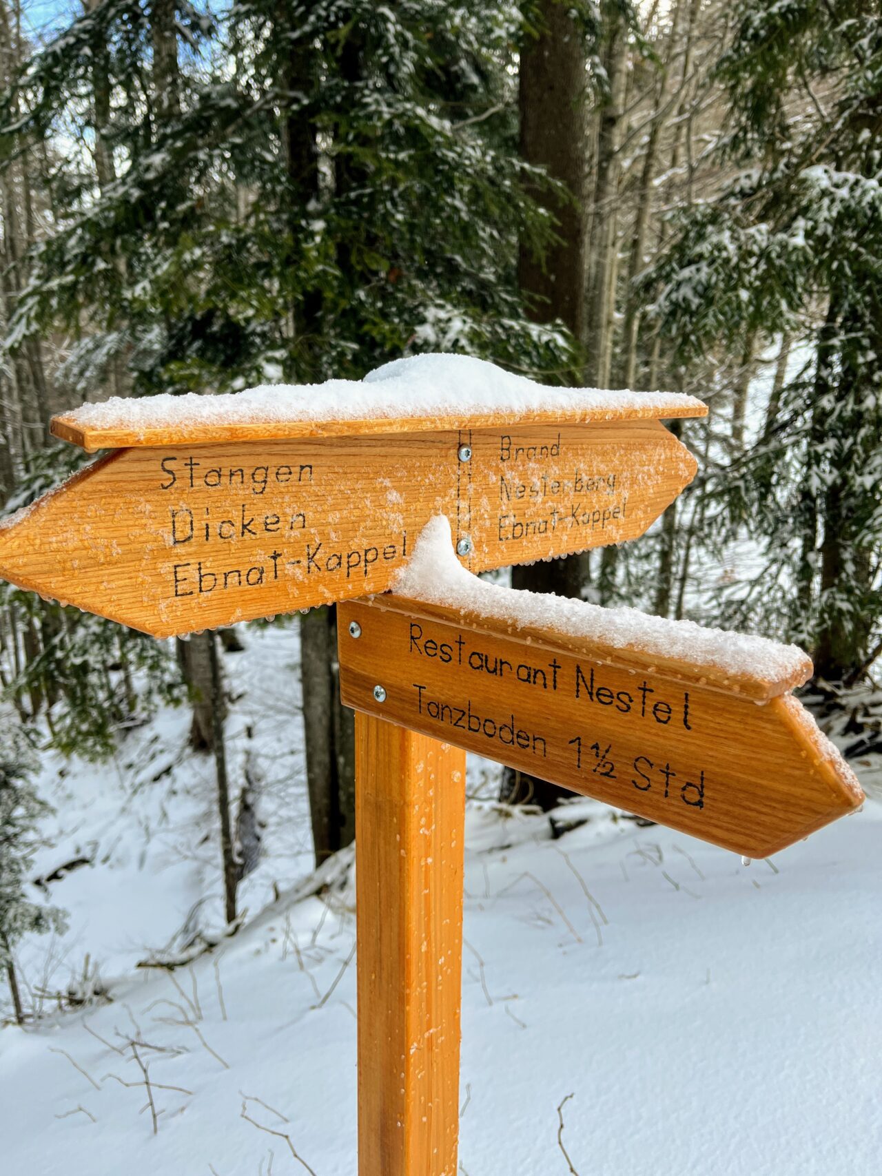 schneeschuhwandern_tanzboden__IMG_1855